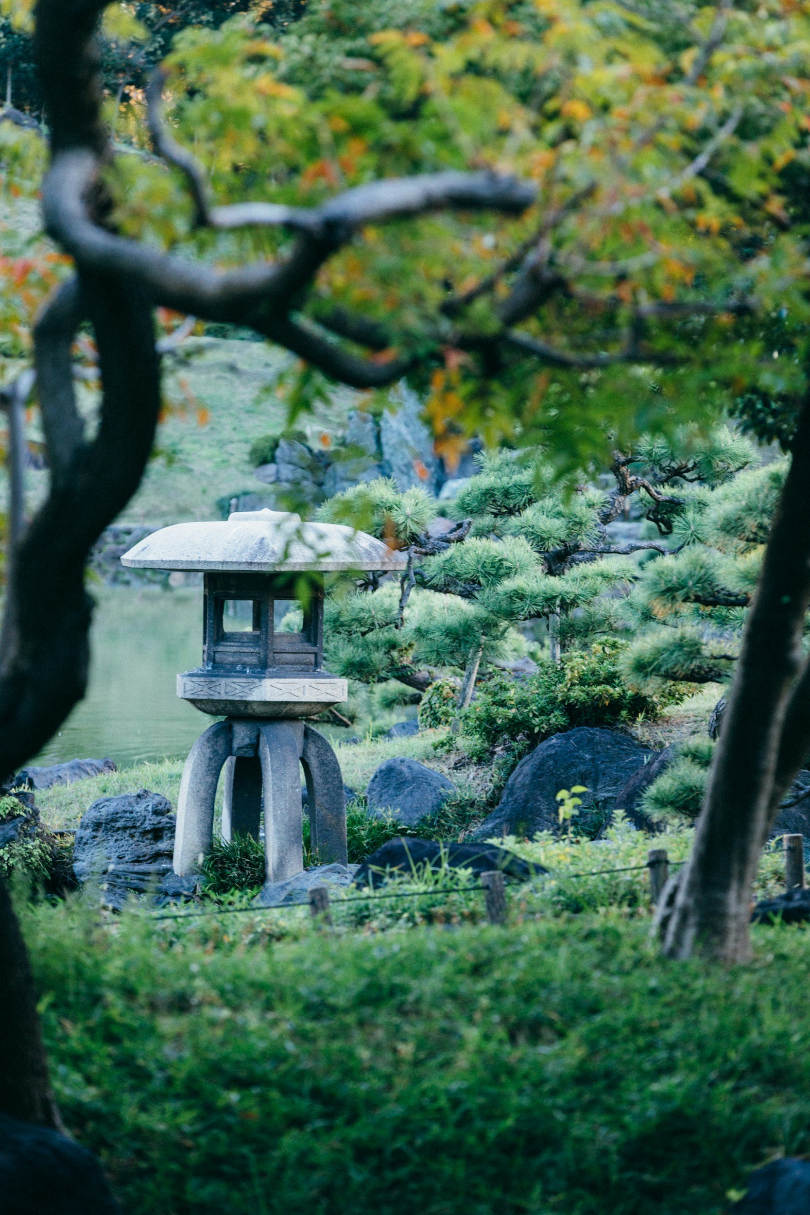 a japanese stone lantern siting in a japanese inspired garden with plants and rocks around it