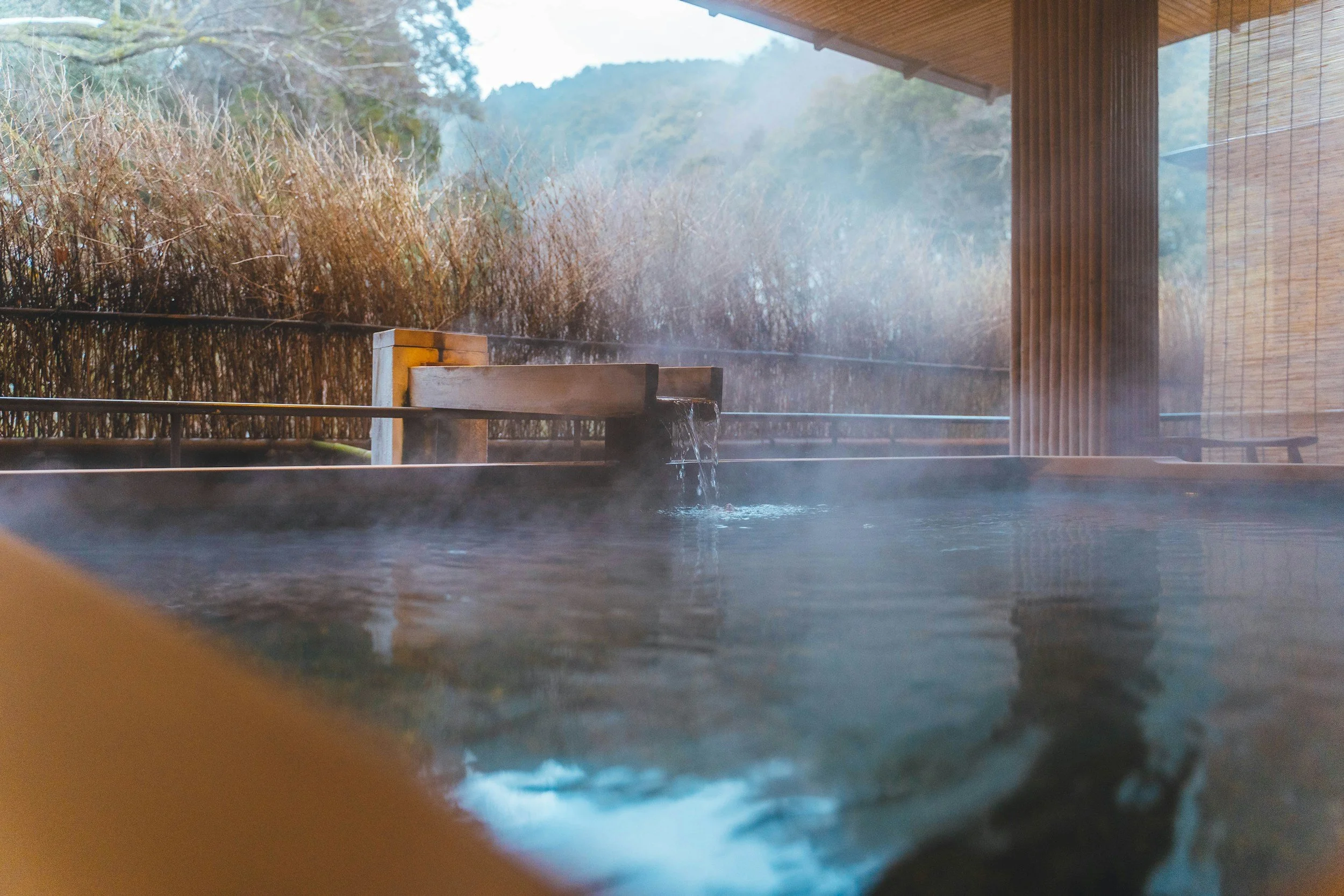 a close up of a onsen pool outside with plants and the mountains in the background