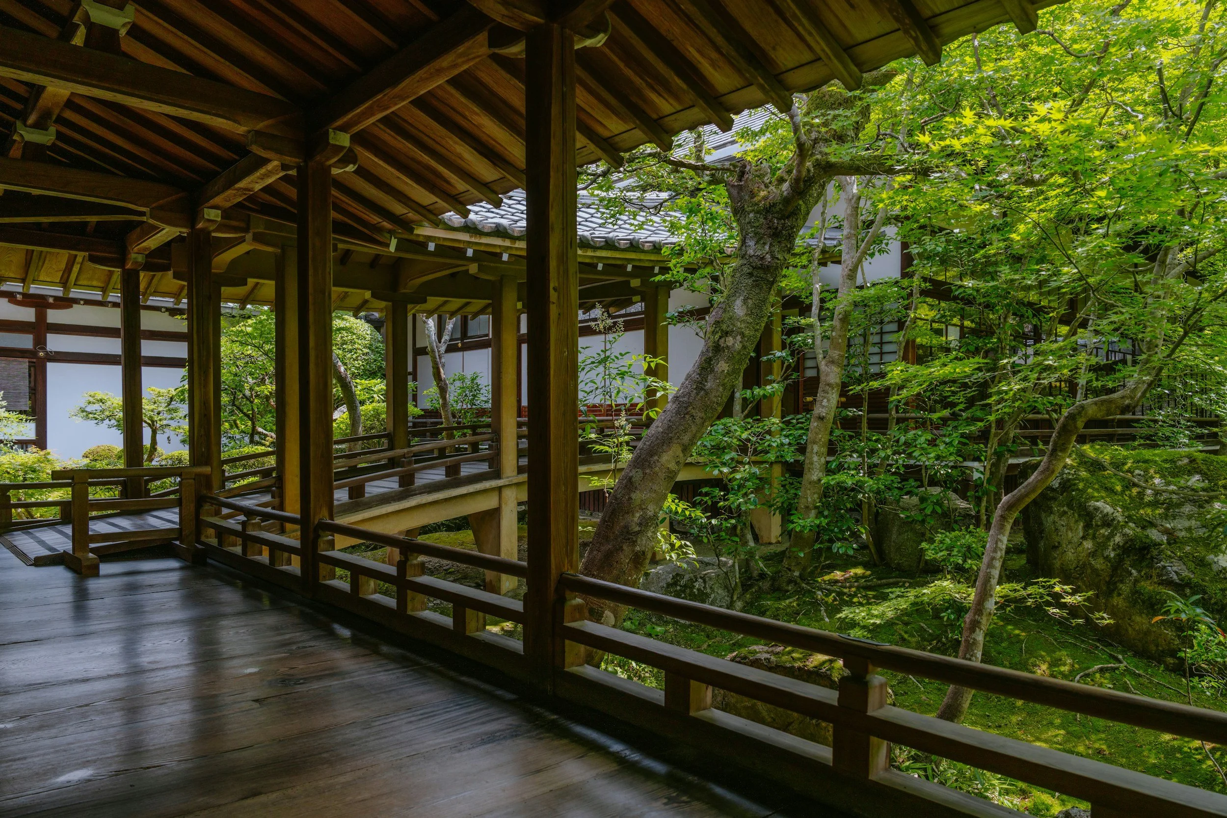 a japanese styled walkway with trees and plants and moss growing in the yard beside it