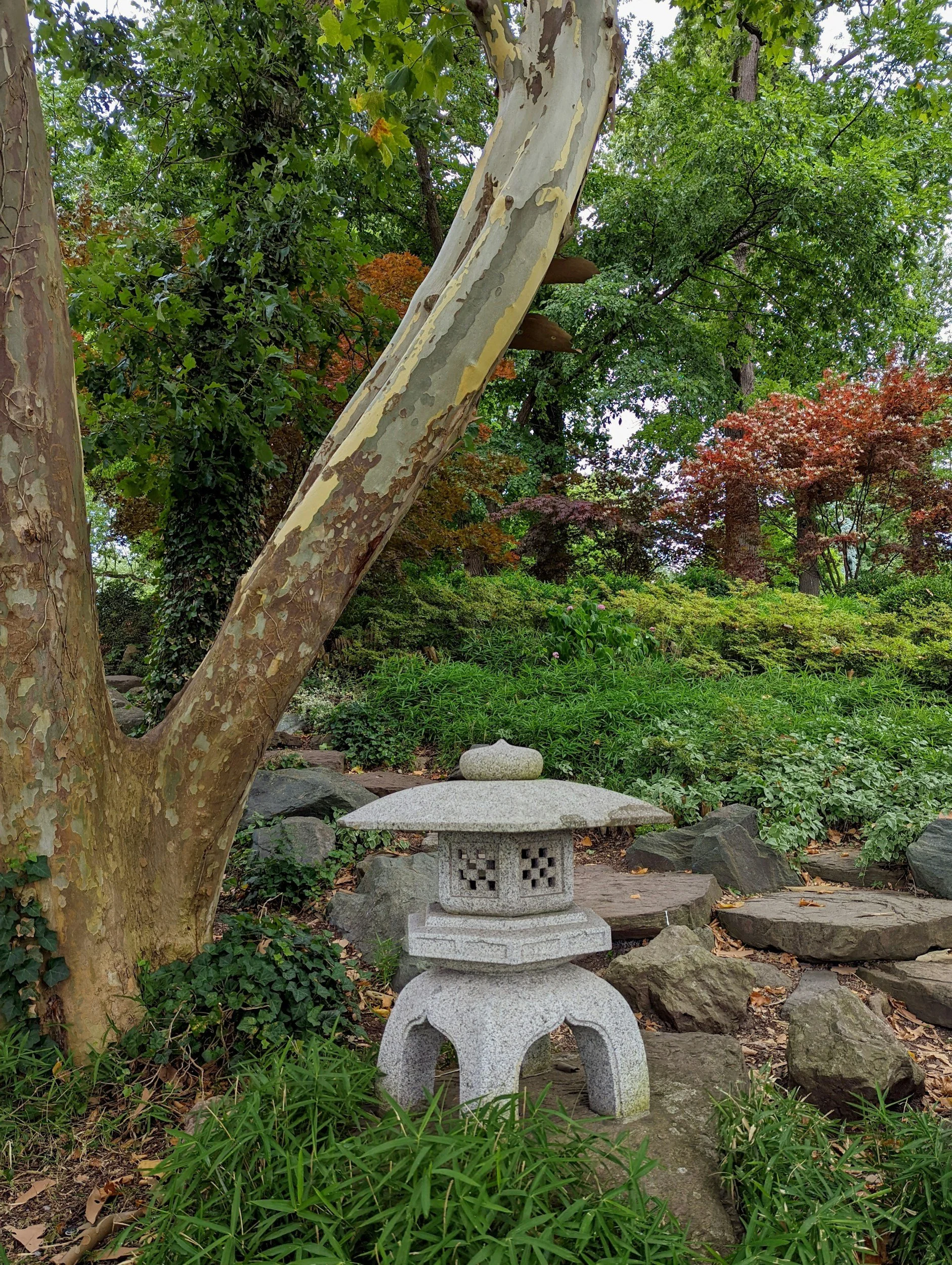 a japanese stone lantern in the middle of a garden surrounded my trees and plants and on the side of a rock stepping stone path