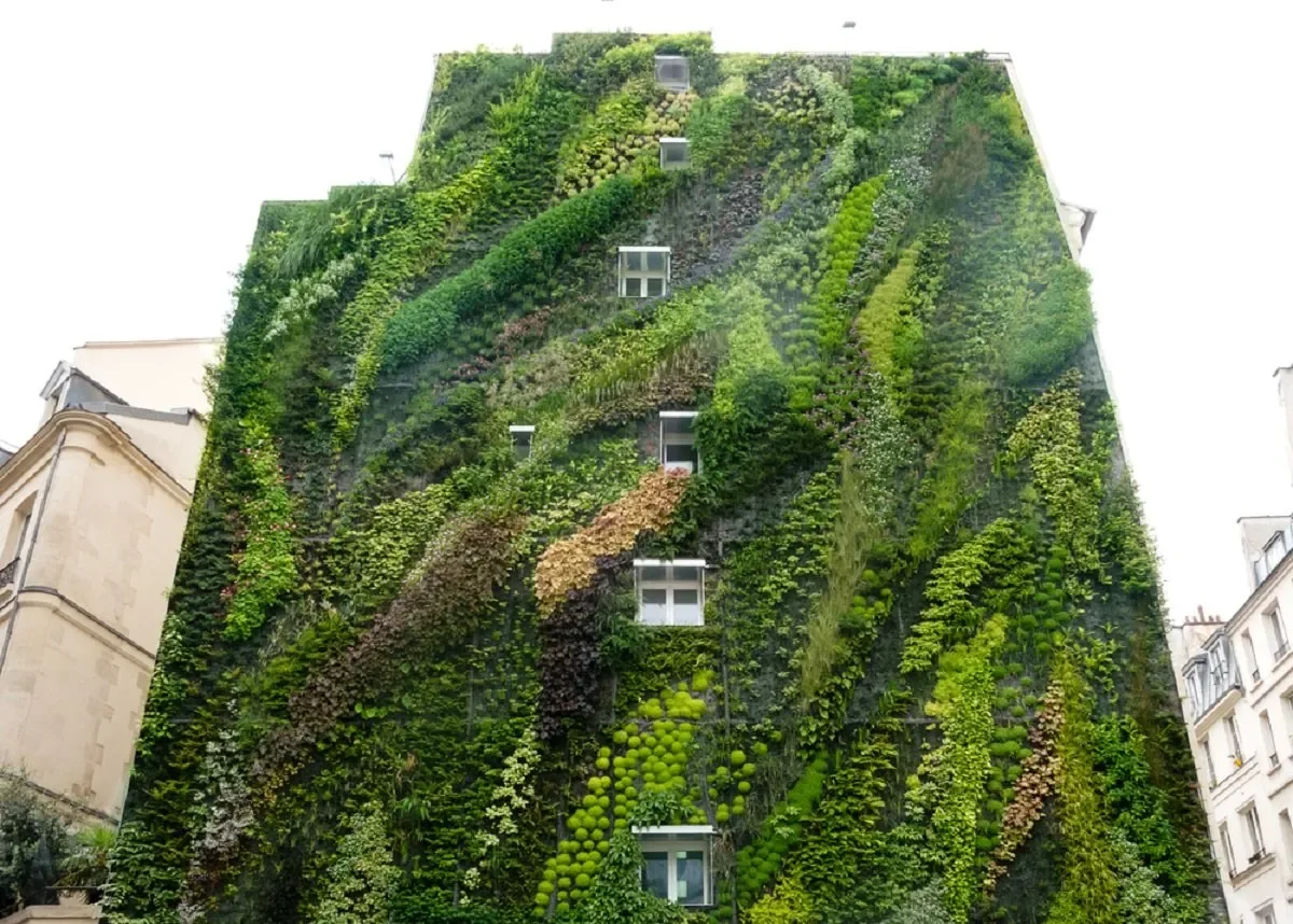 a building with plants growing on it in a pattern that creates a dynamic and interesting feature