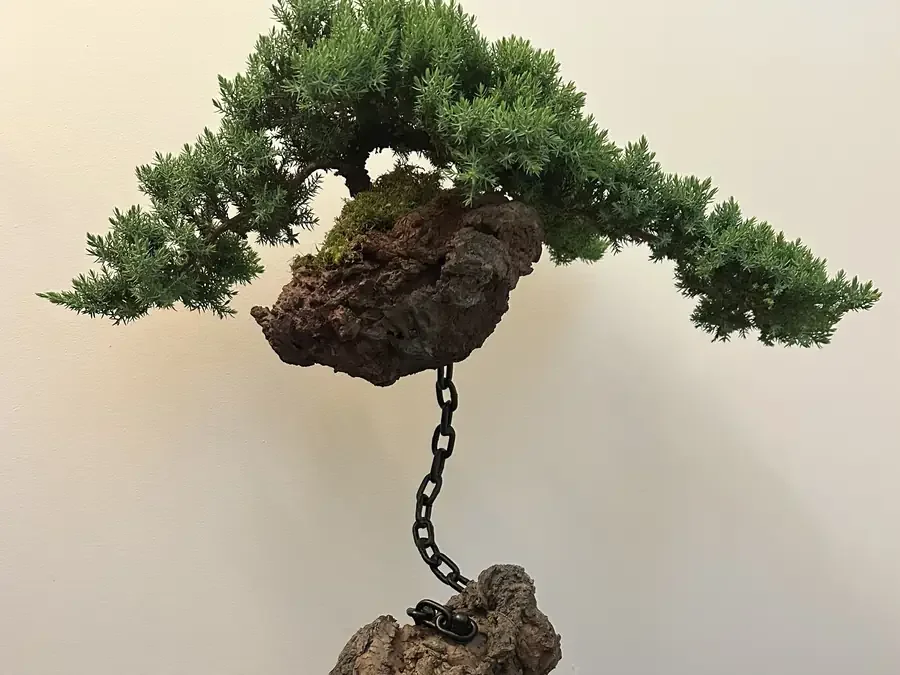Sculpted bonsai tree displayed on a dark stand.