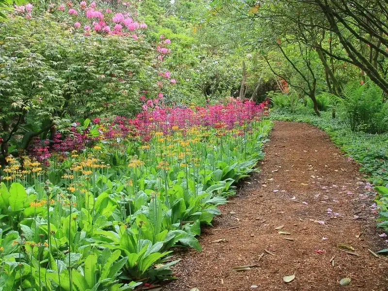 A bark-covered garden path bordered by green foliage and pink flowers.