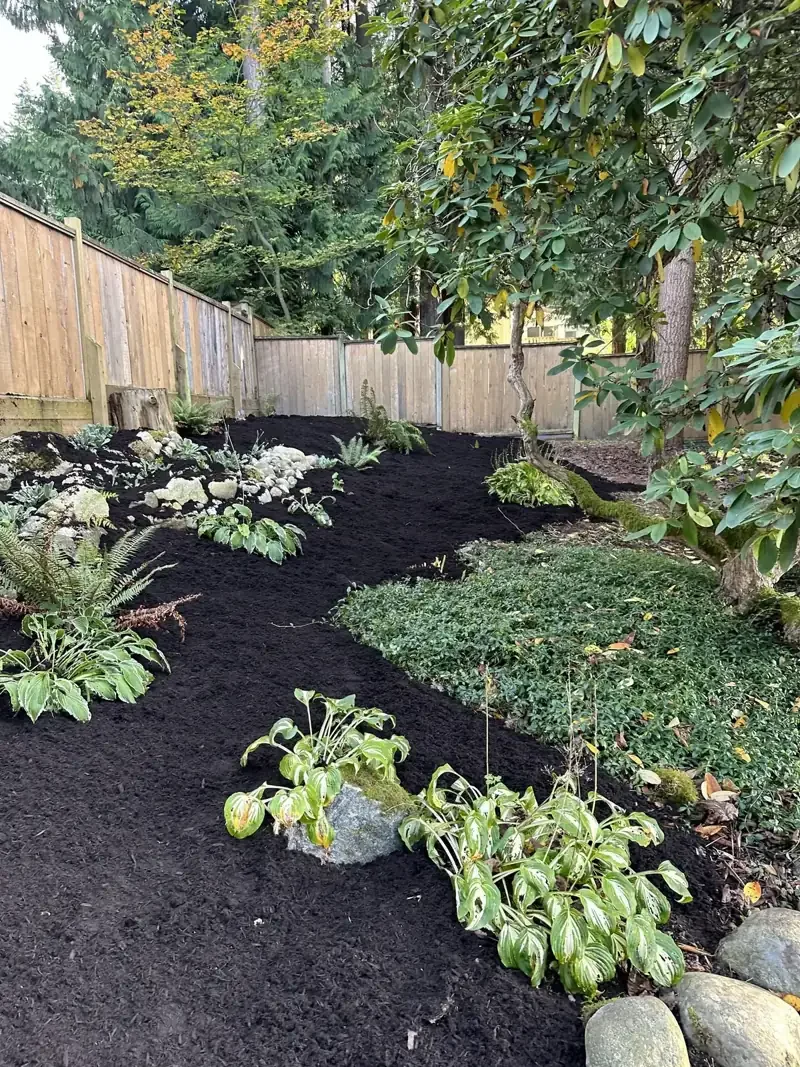 Backyard garden with fresh mulch, green plants, and surrounding wooden fence
