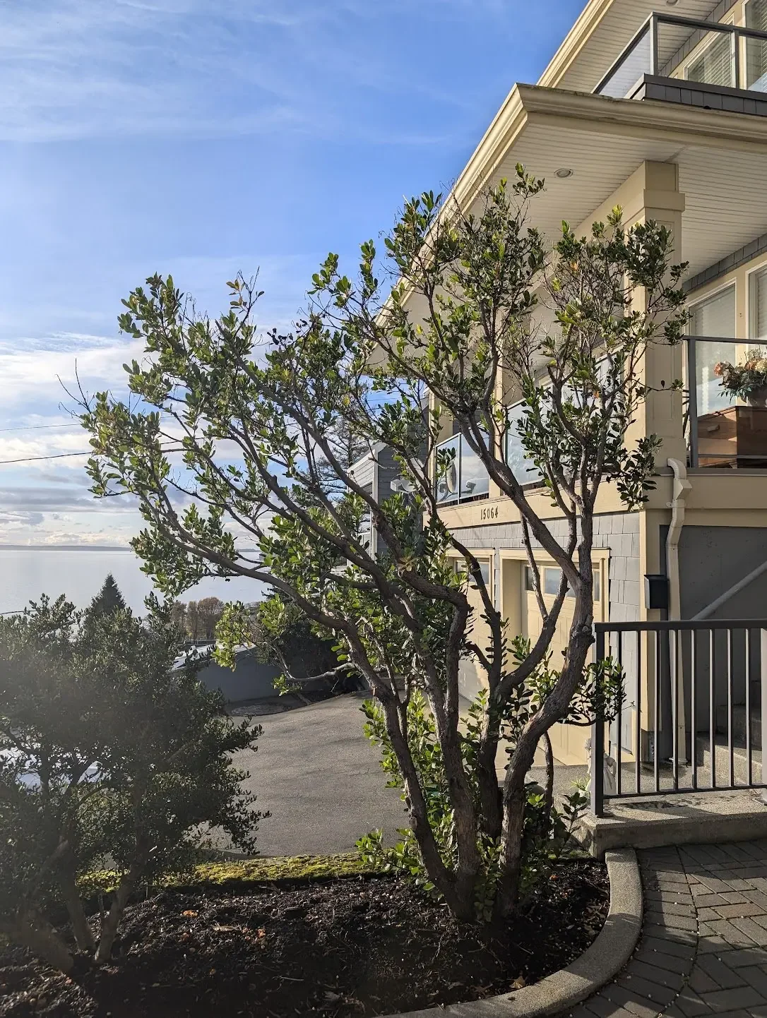 Residential house with a tree in the foreground and bright blue sky in the background.
