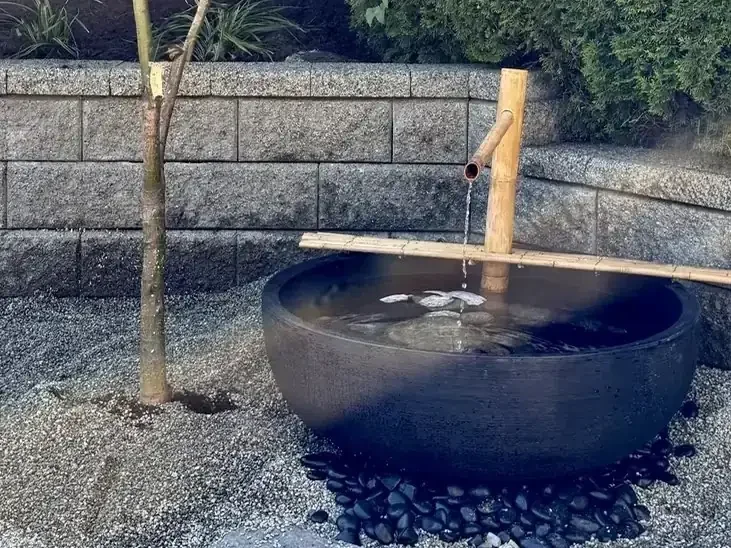 Bamboo water spout above a stone basin in a Japanese garden.