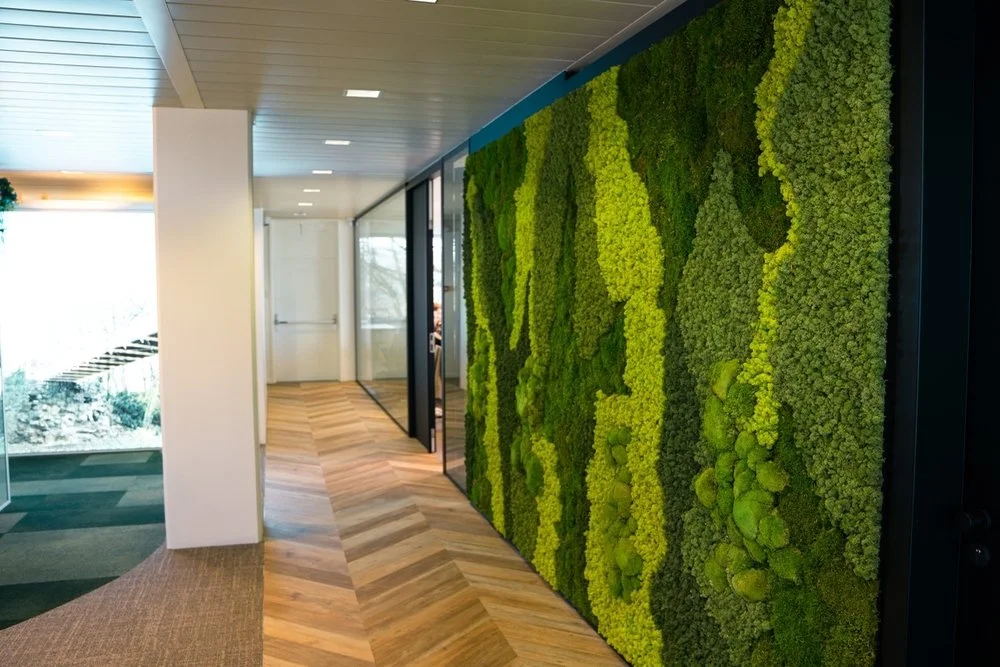 a moss wall with patterns using different colours of green hanging on a wall inside an office building