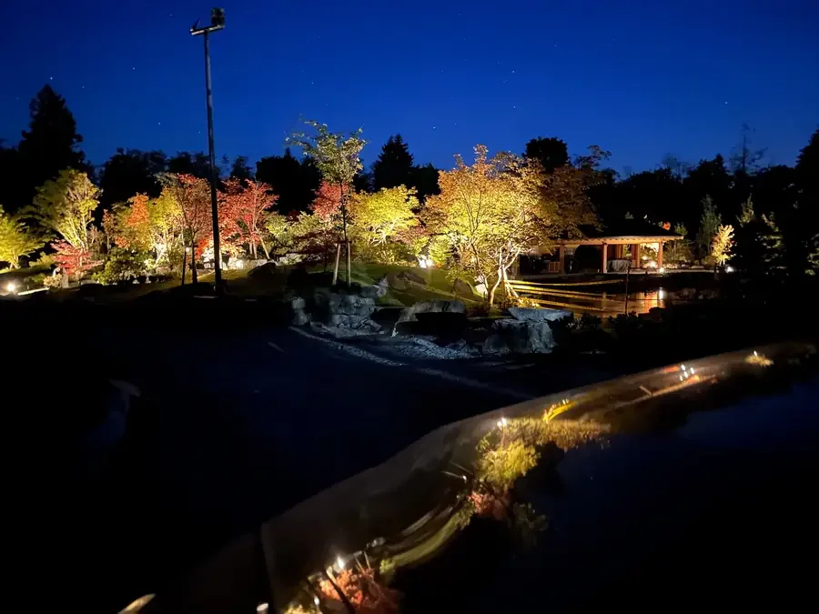 Trees and a garden path illuminated against a deep blue evening sky.