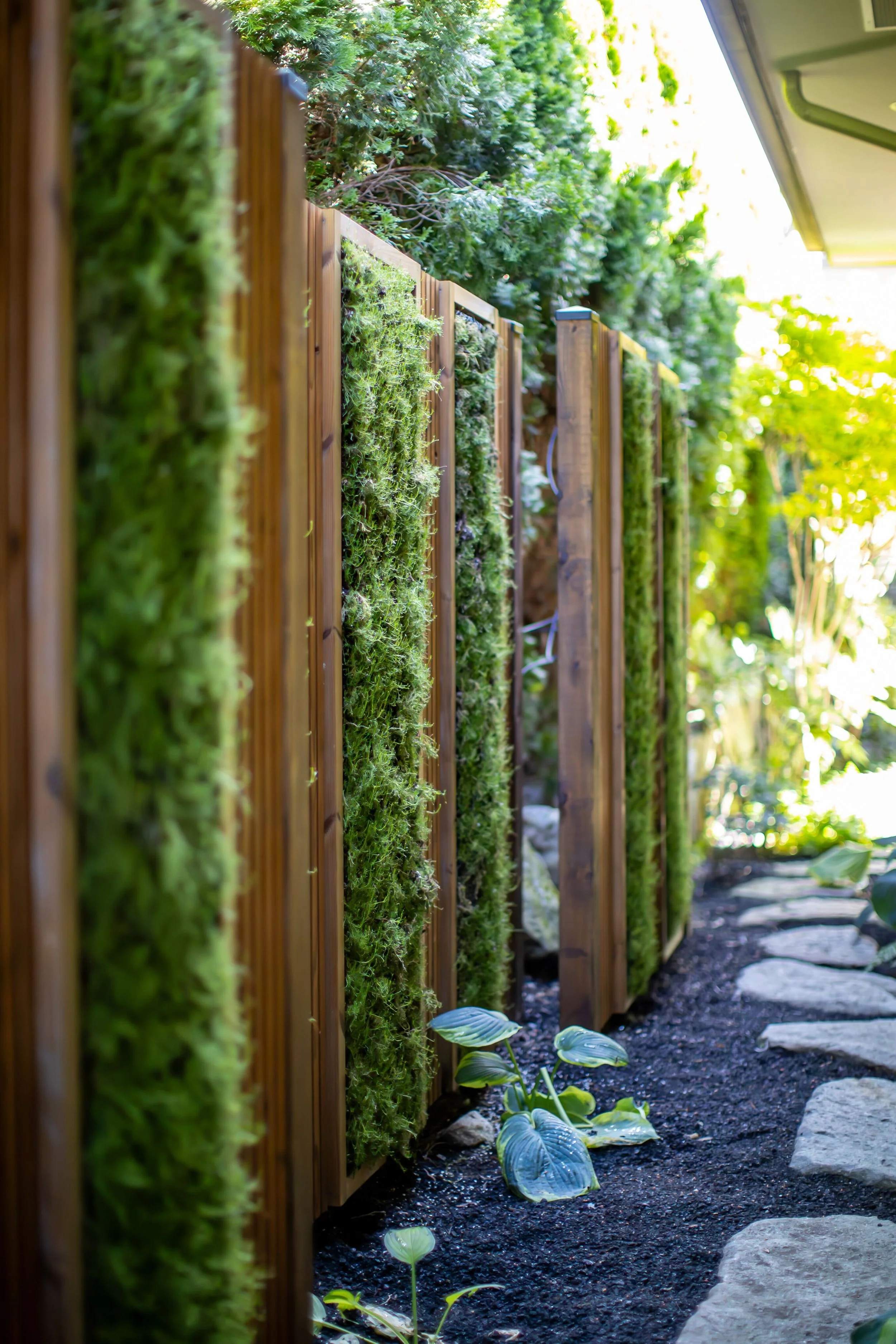 wood panels with moss growing on the side of them in front of other plants in a garden