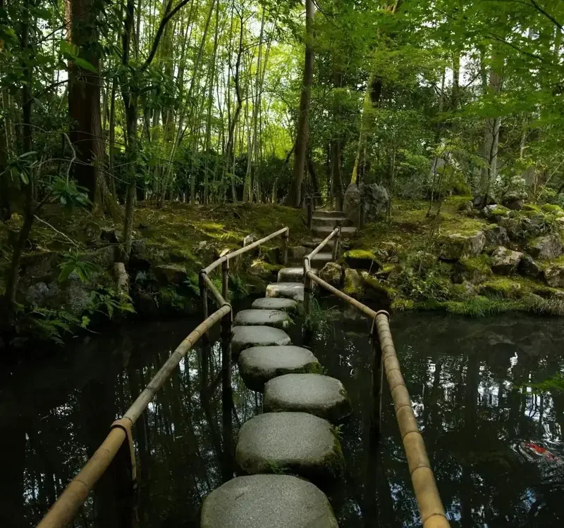 Stepping stone path with bamboo handrails crossing water toward a mossy forest.