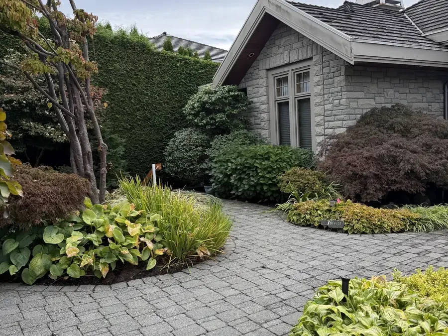 Planted garden beds and sculpted shrubs beside a stone walkway and house.