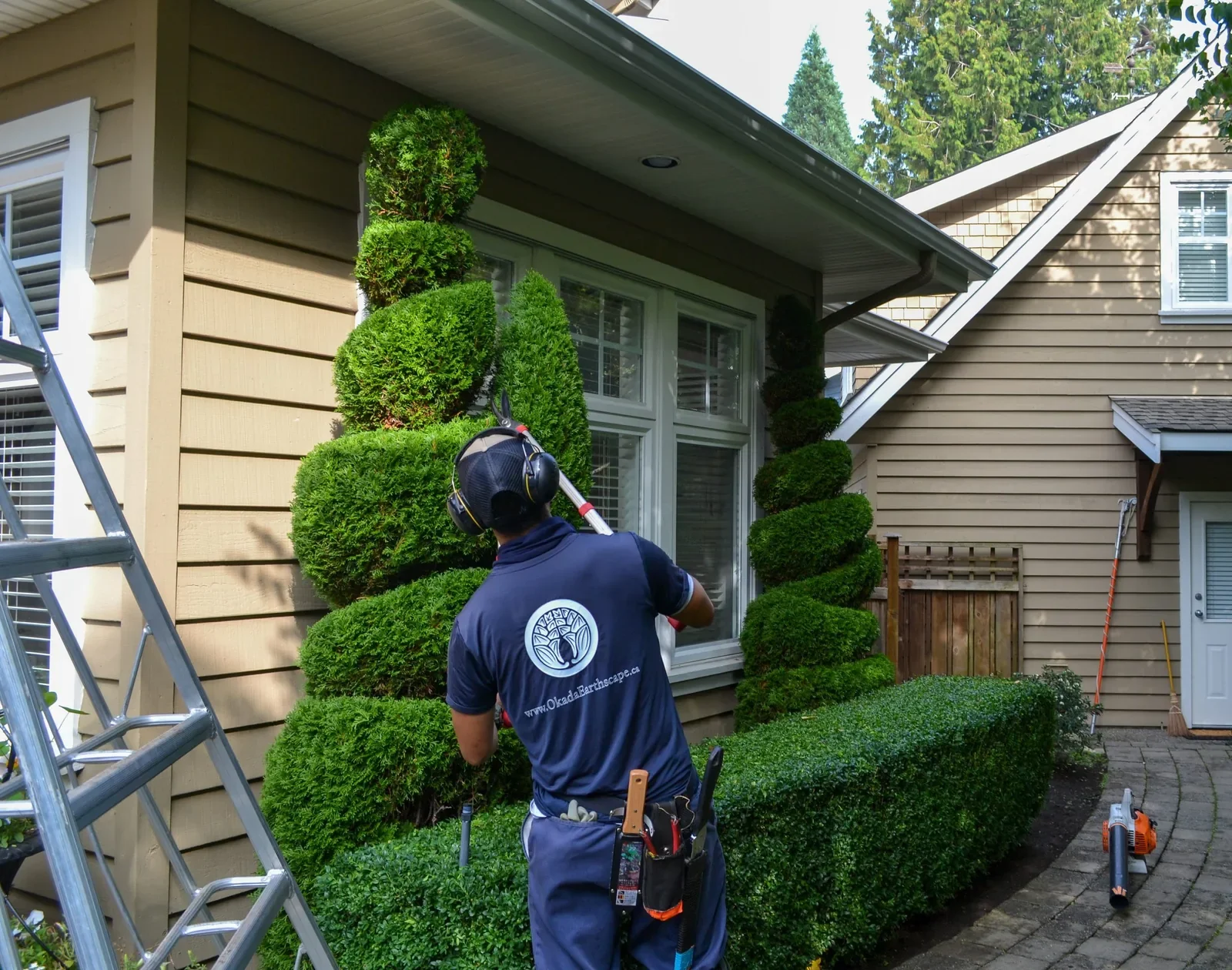 Gardener trimming topiary tree in front of house