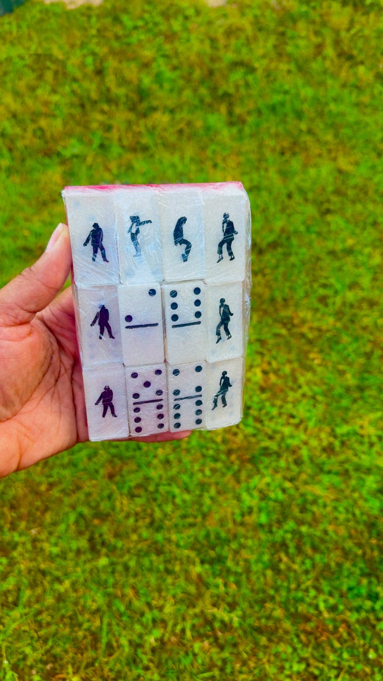 Dominoes Sets