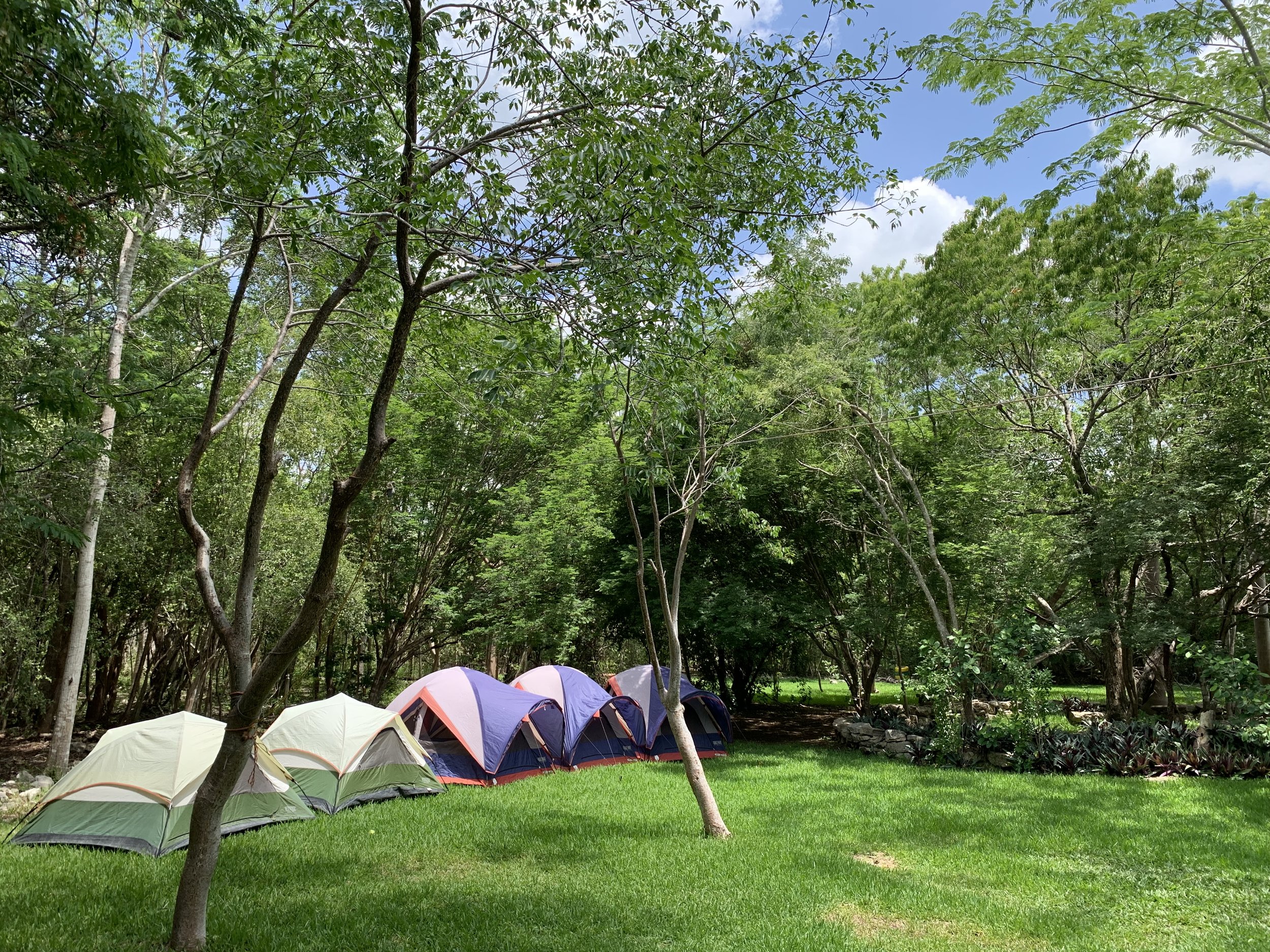 Campamento en el Parque
