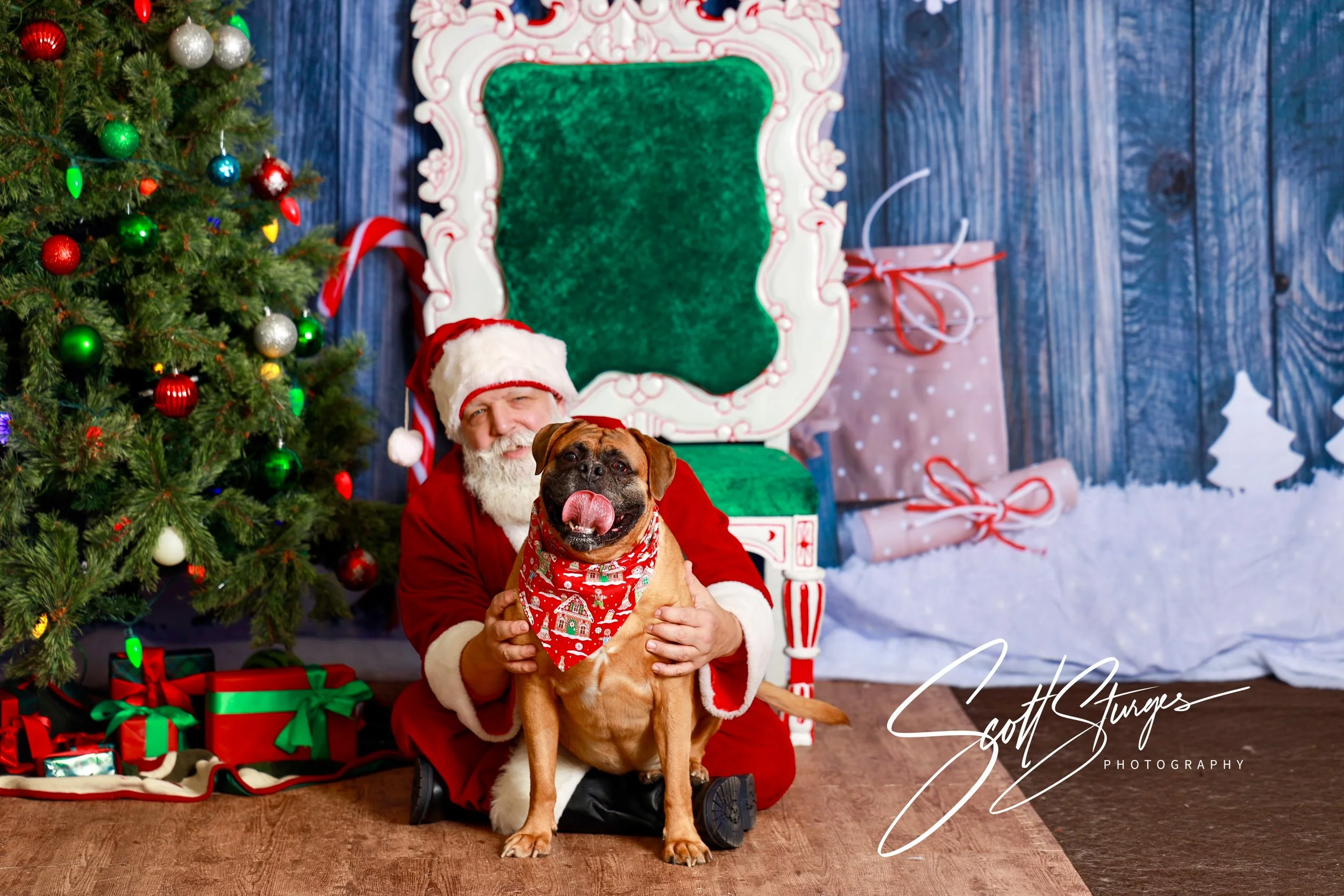 SantaDog.jpg