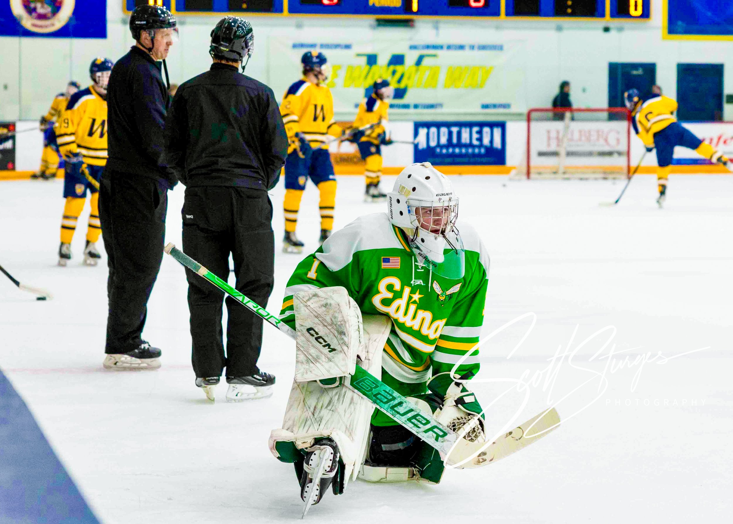 Edina3.jpg
