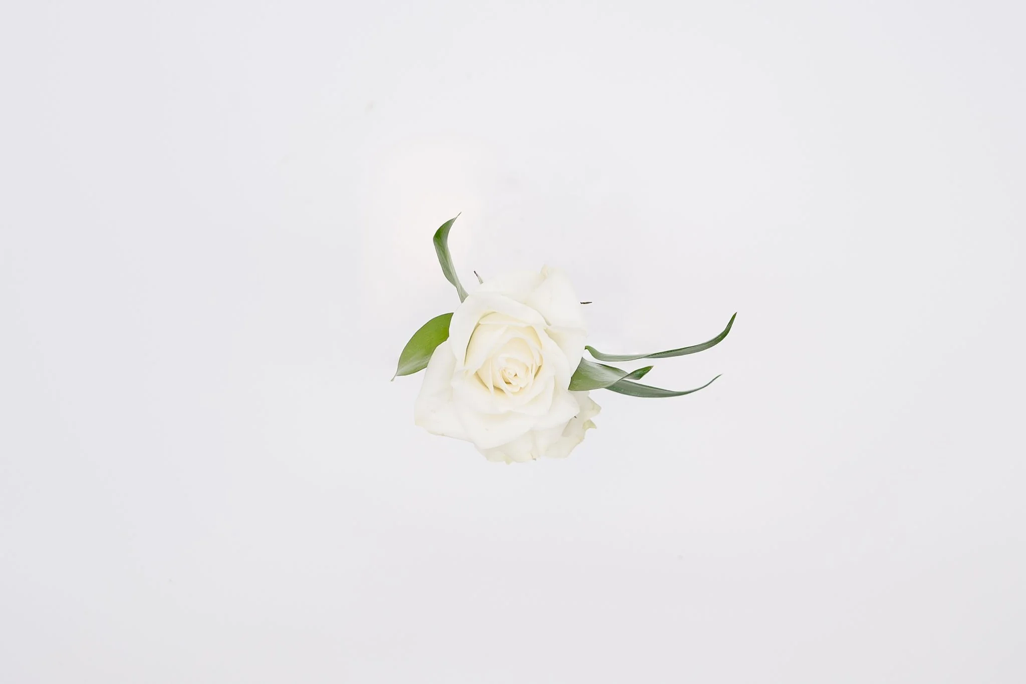 boutonniere Top.jpg
