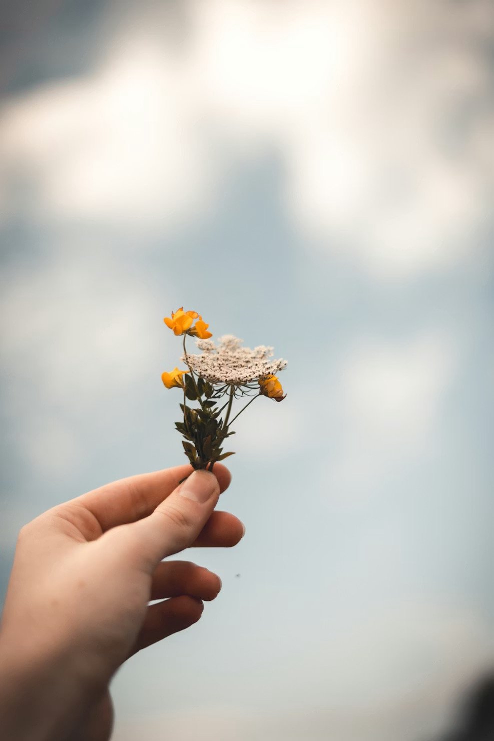 Gentle Reframing 