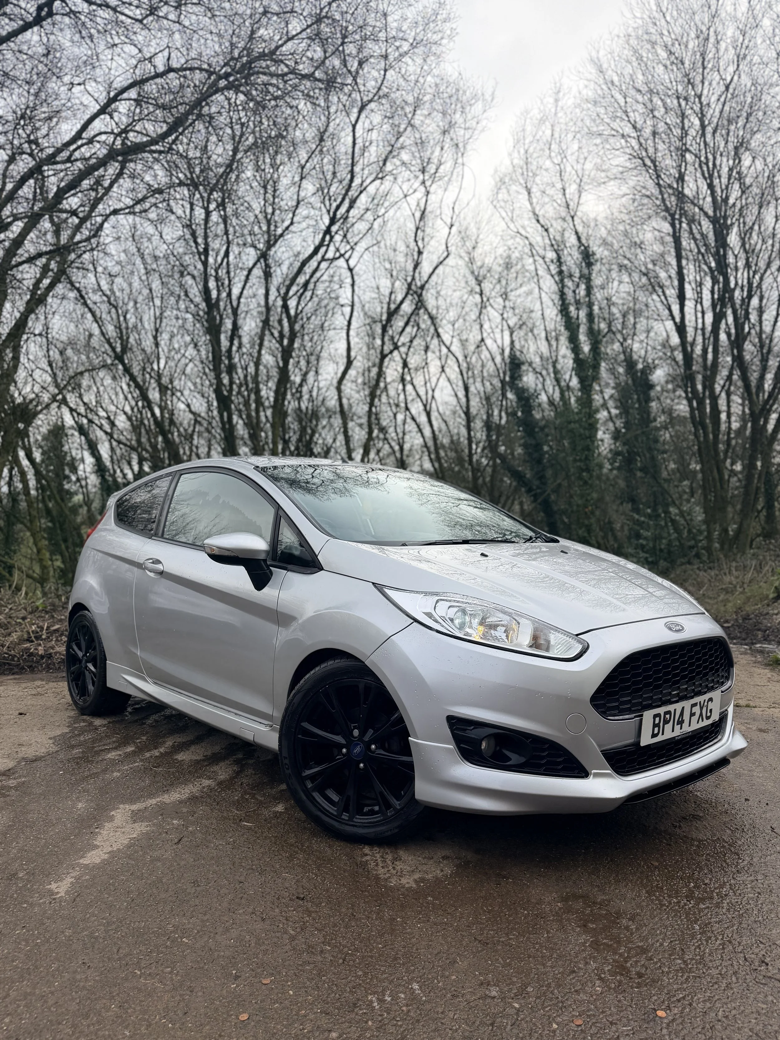 Ford fiesta 2014
