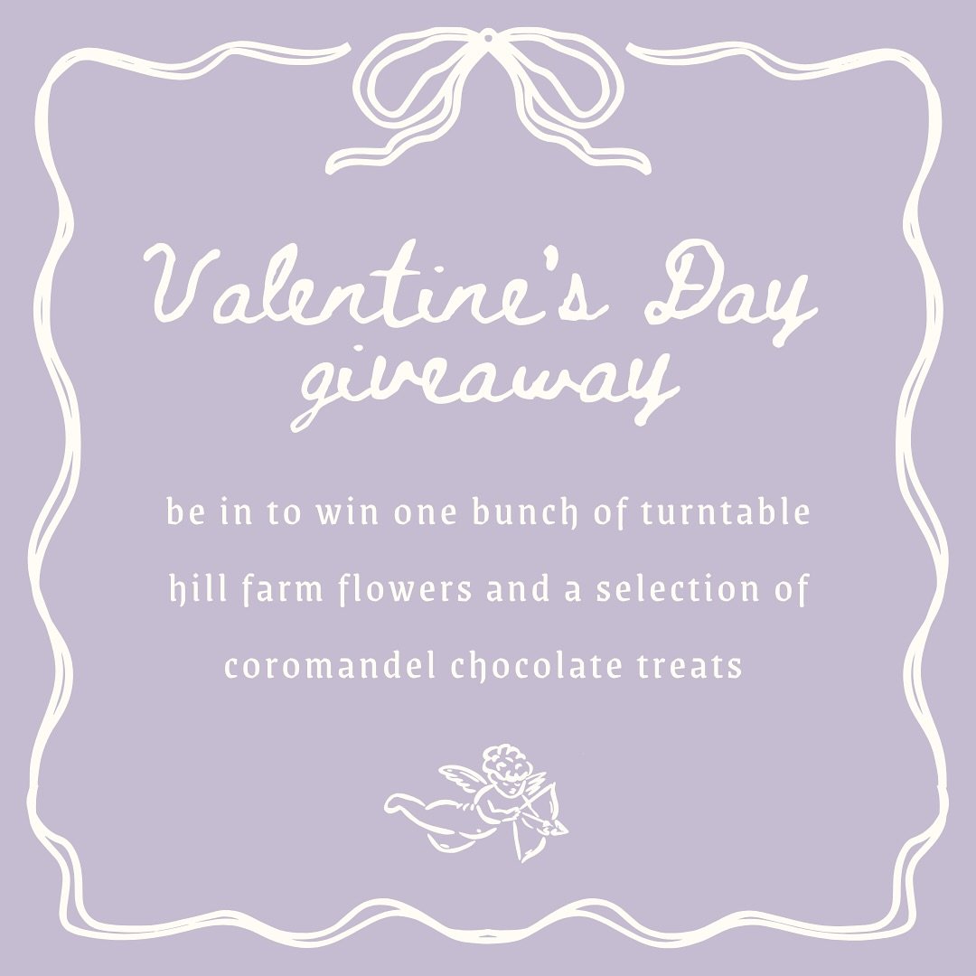 💘V DAY💘 is less than a month away lovers. This year we (and by we I mean me bc some of us are frightfully single) thought that it would be kind of fun to do a Valentine&rsquo;s Day giveaway! Be in to win a large big boy sexy bunch of Turntable Hill