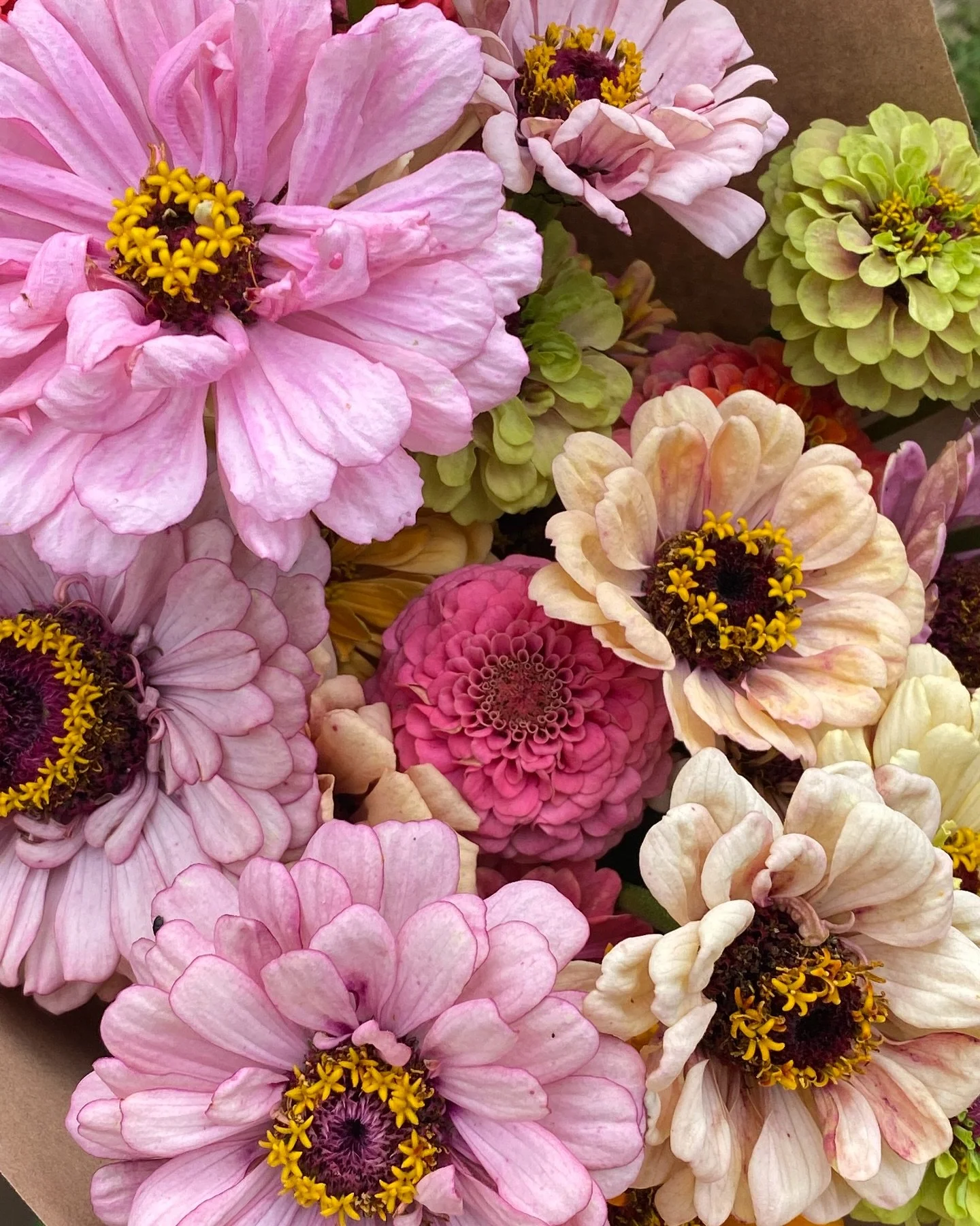 We are closing out the 24/25 season this week (unless you have been in touch about April dates in which case - you are still in the diary!). The longest season I have done yet - 9 months of Turntable Hill Farm Flowers. Thanks for all the love and sup