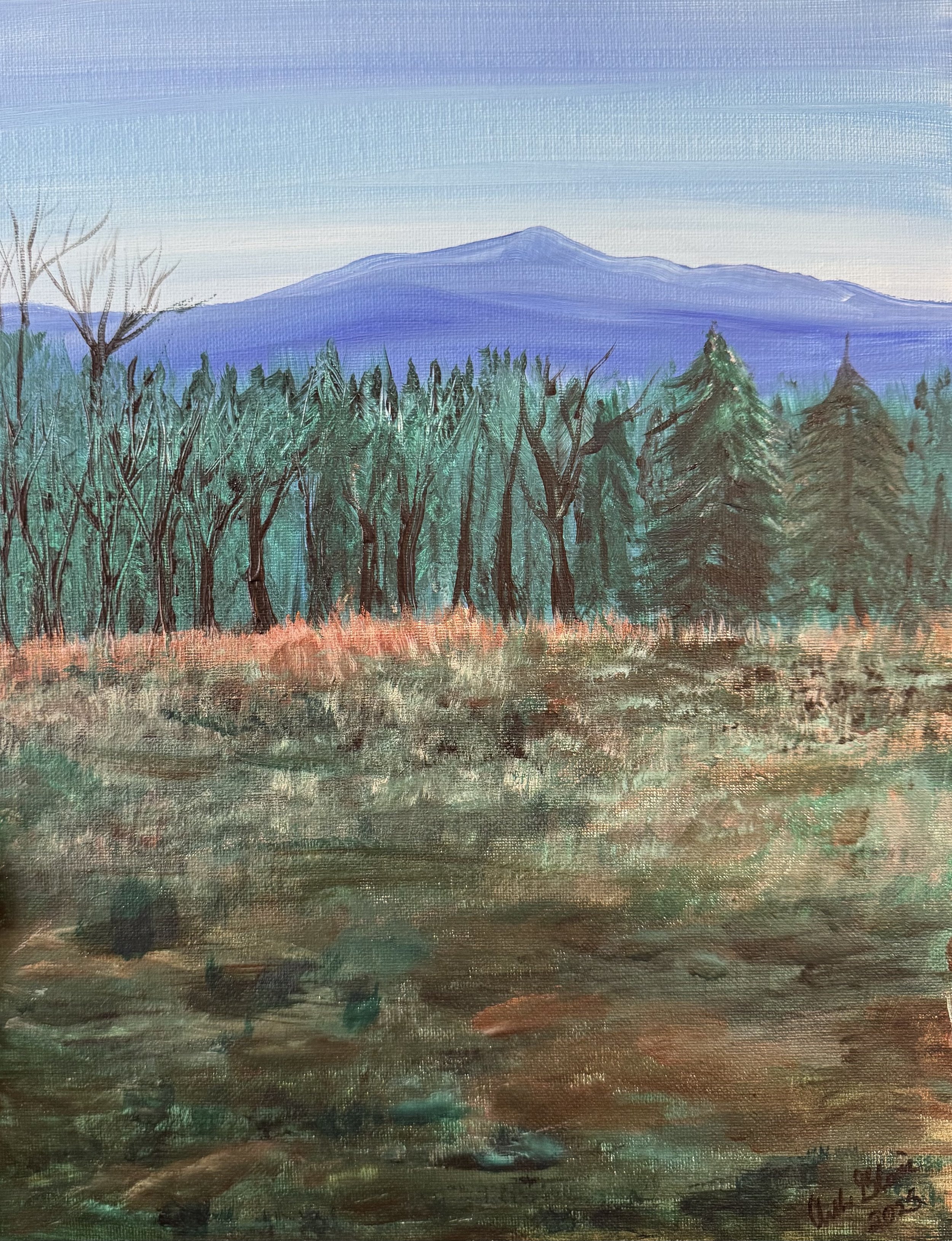 Over the Mountains