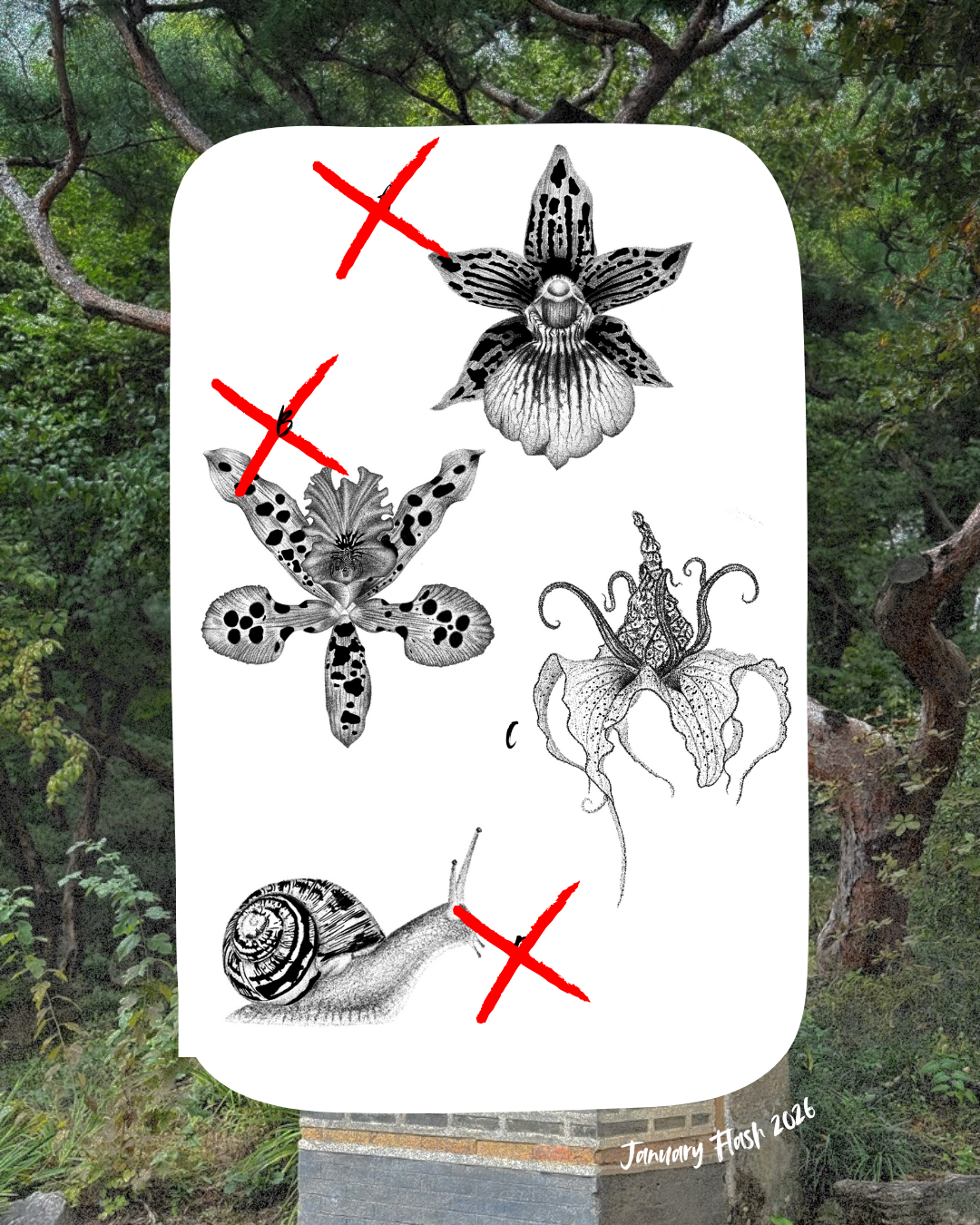 #39 (non-repeatable)