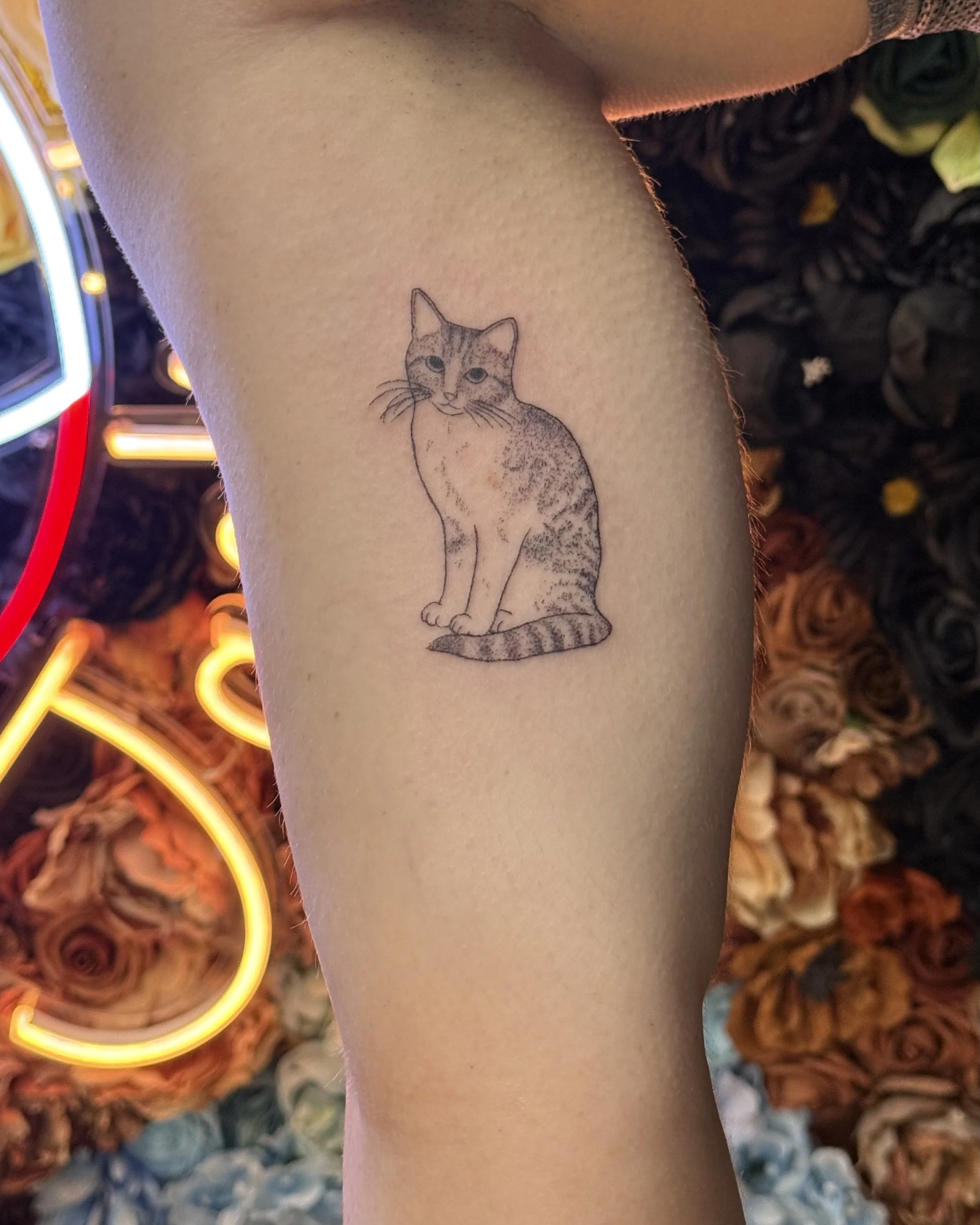 IMG_0257.jpeg