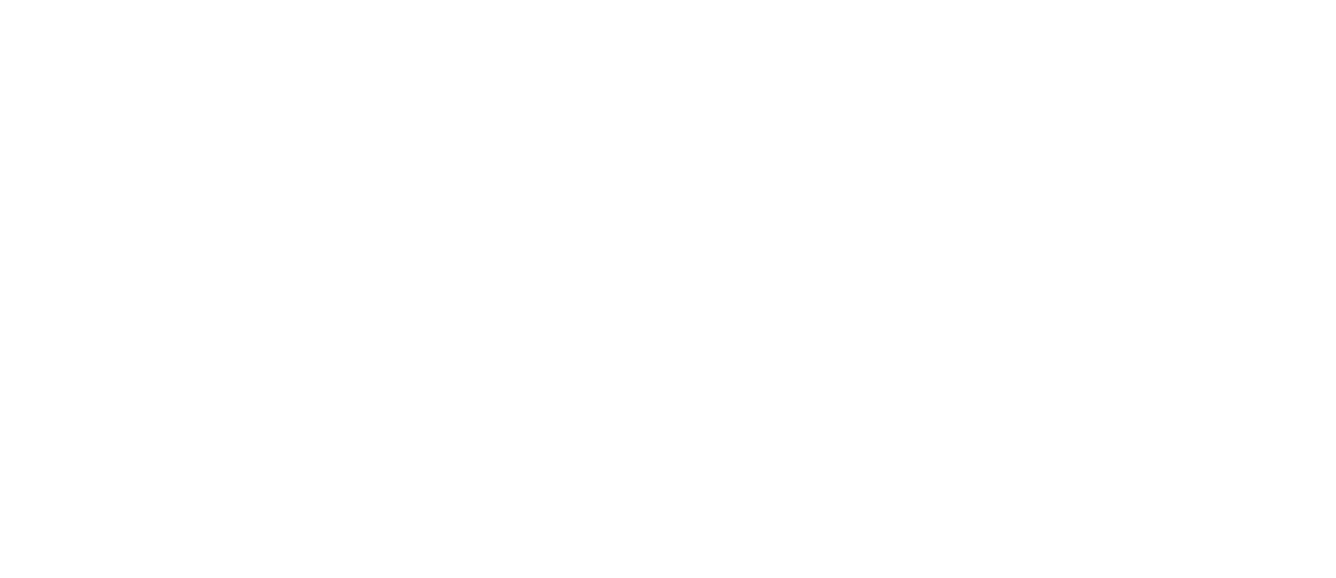 Foresight Chiropractic Wellness 