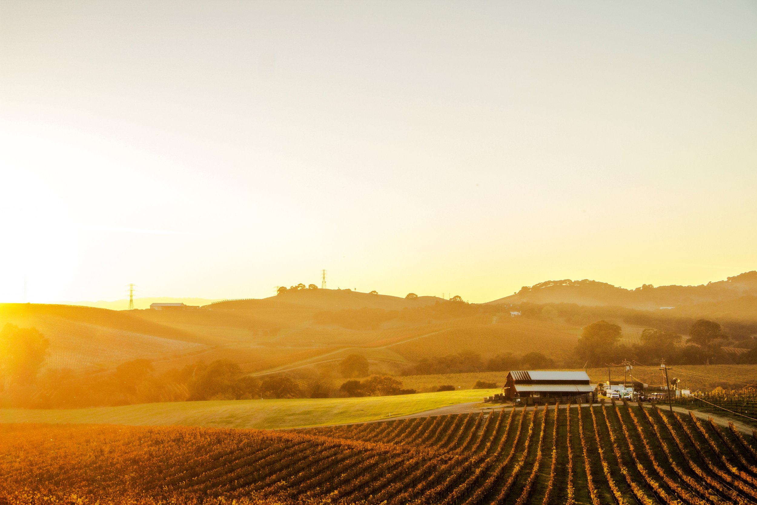Napa Valley Travel Guide.pdf-image-002.jpg