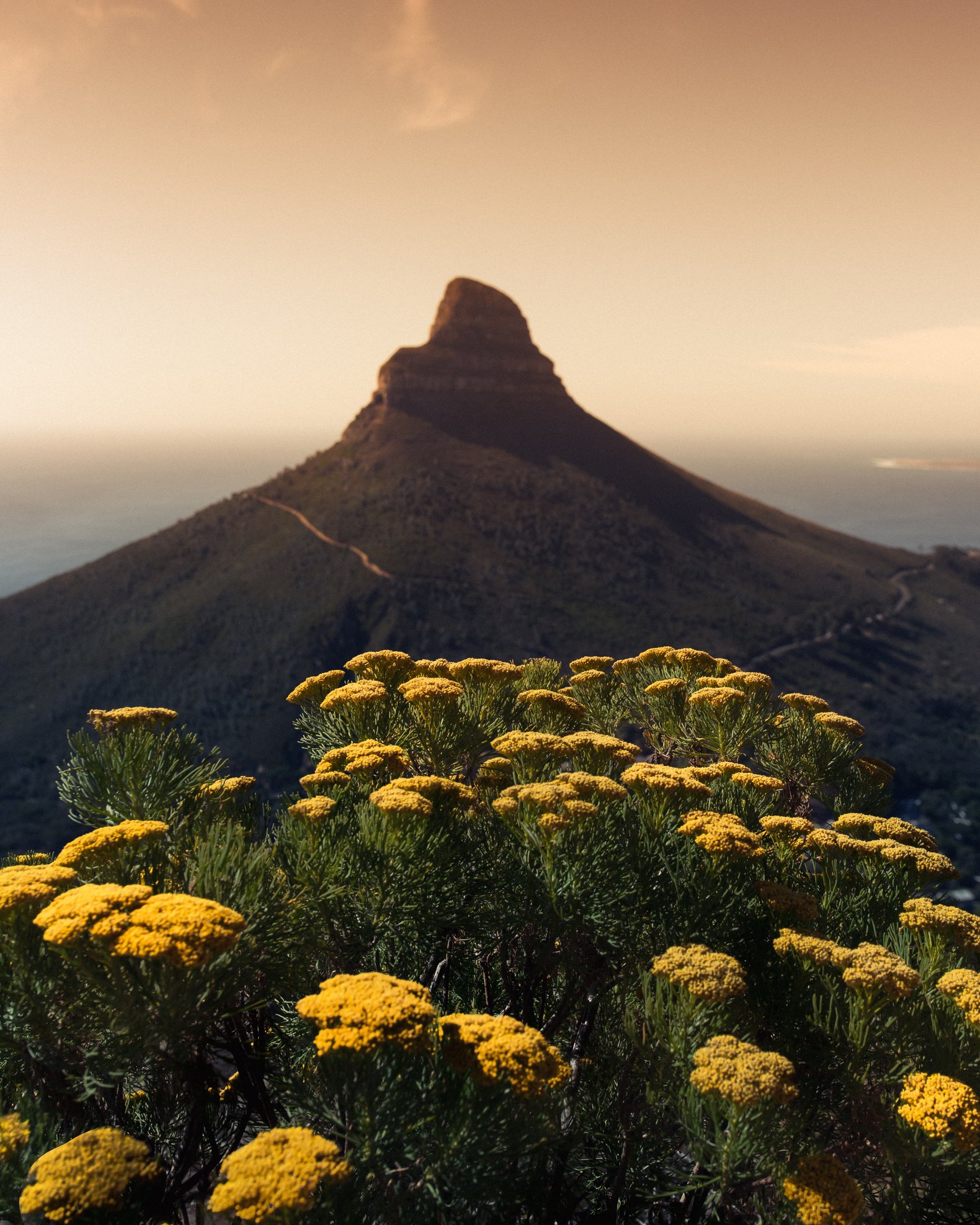 _Cape Town Travel Guide (1).pdf-image-012.jpg