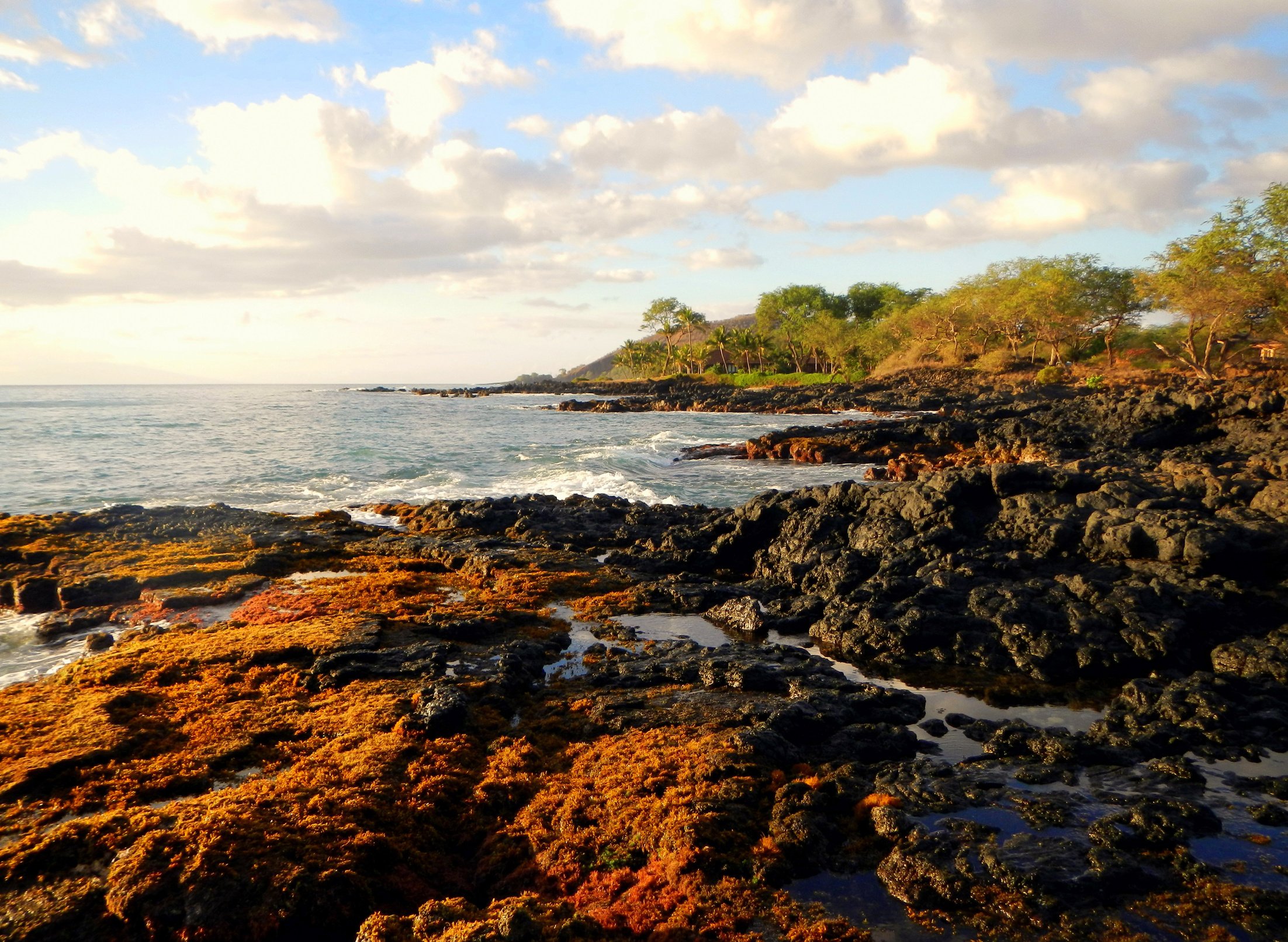 Maui Travel Guide.pdf-image-020.jpg
