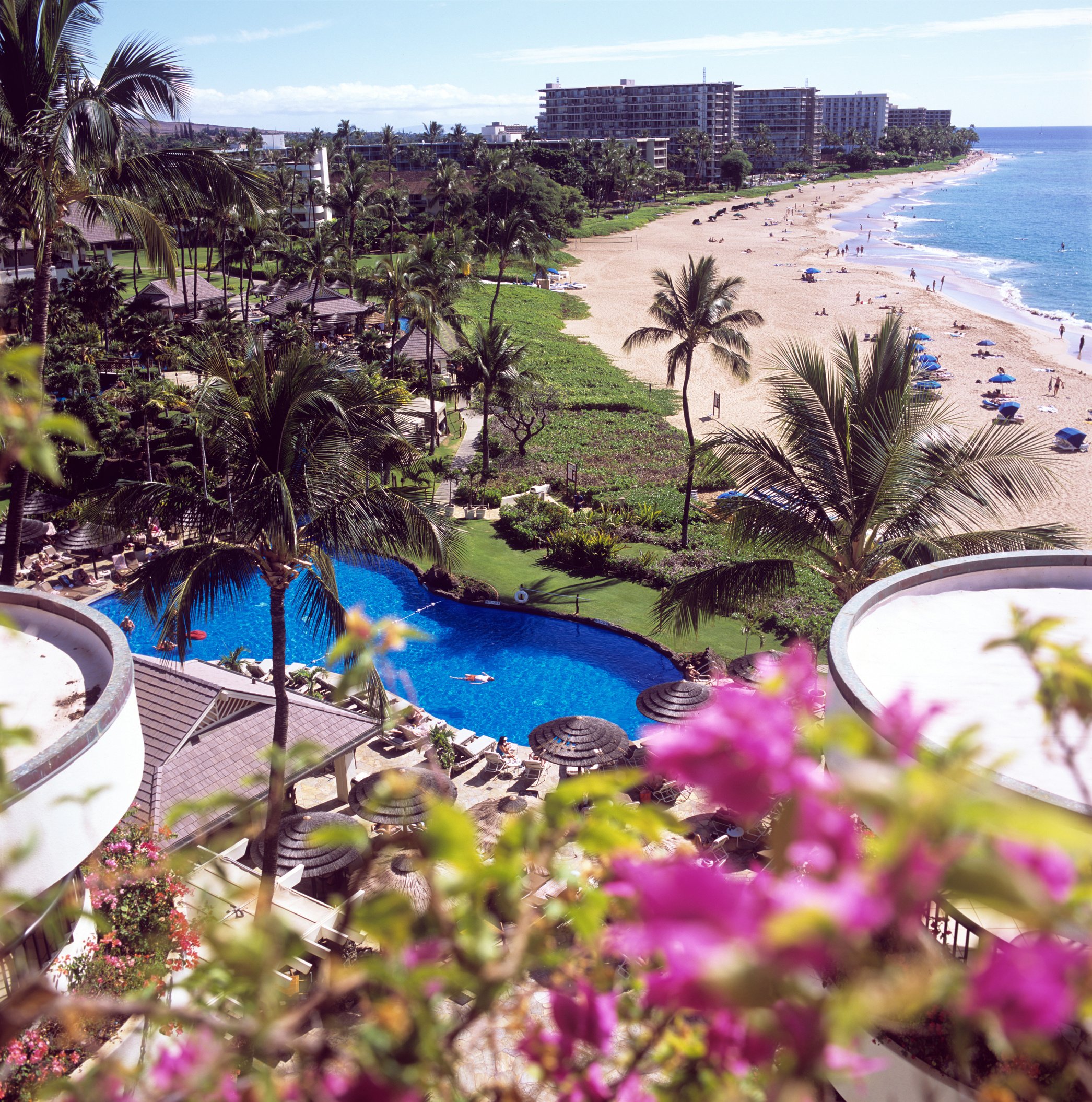 Maui Travel Guide.pdf-image-005.jpg