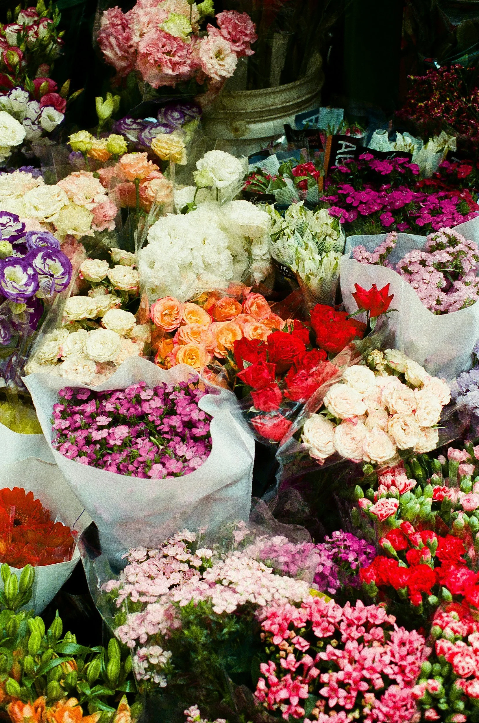 Flower choices to build bouquets
