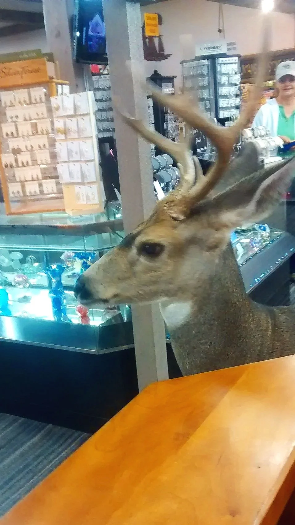 Frequent Shopper!