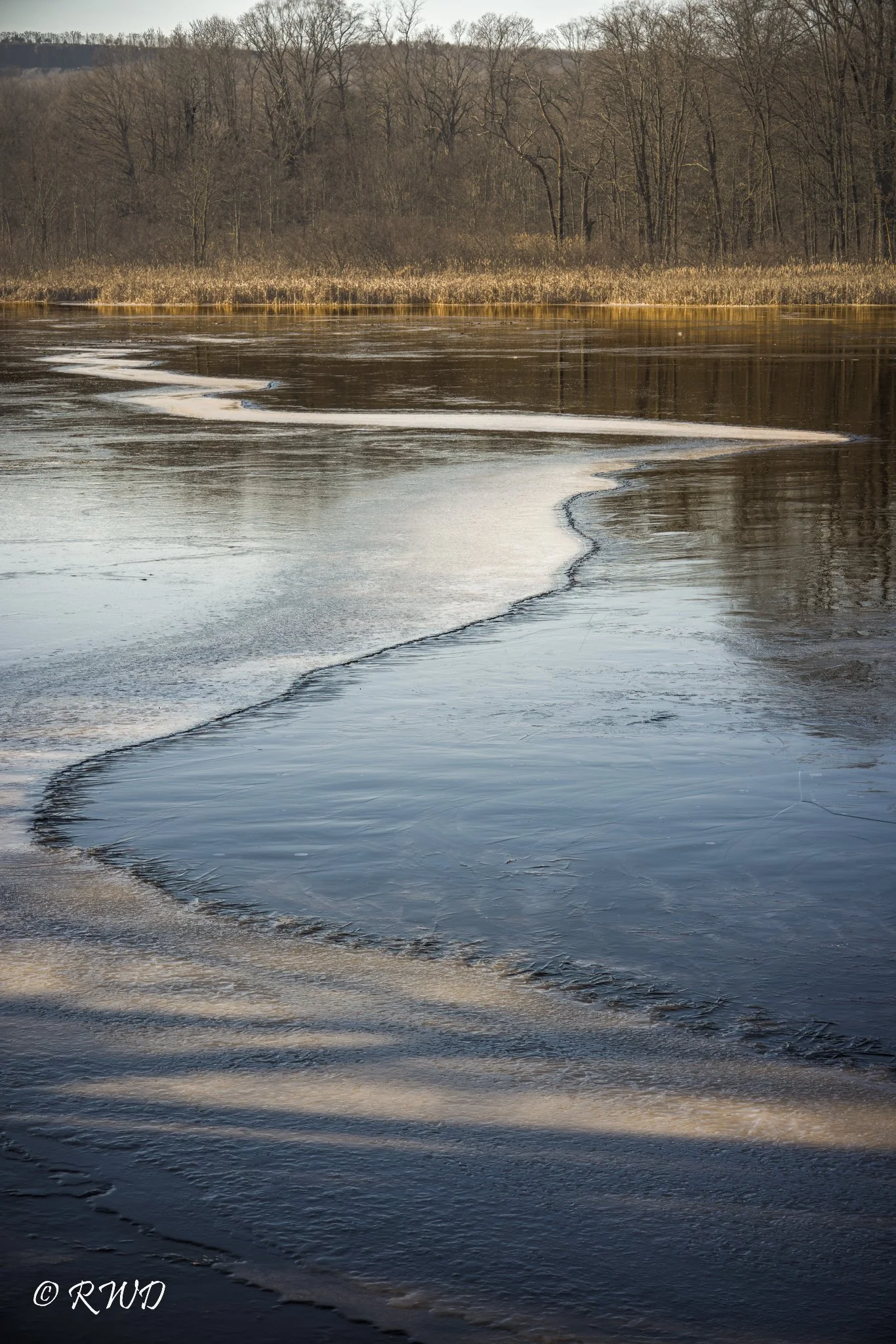 122622_FrozenPond.jpg