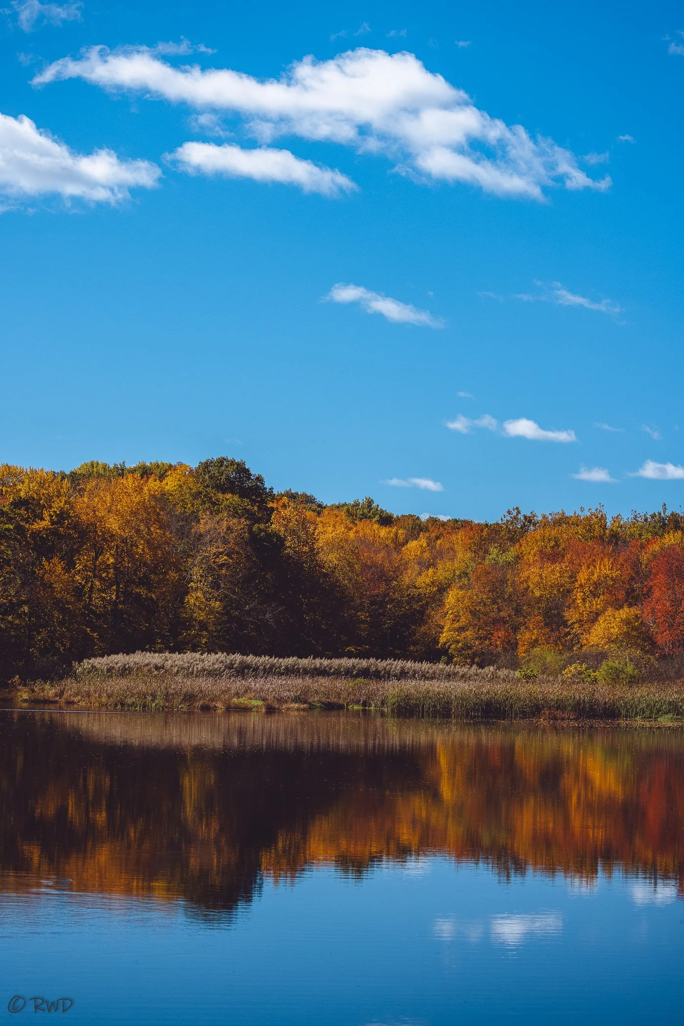 102323_DividendPond-1.jpg