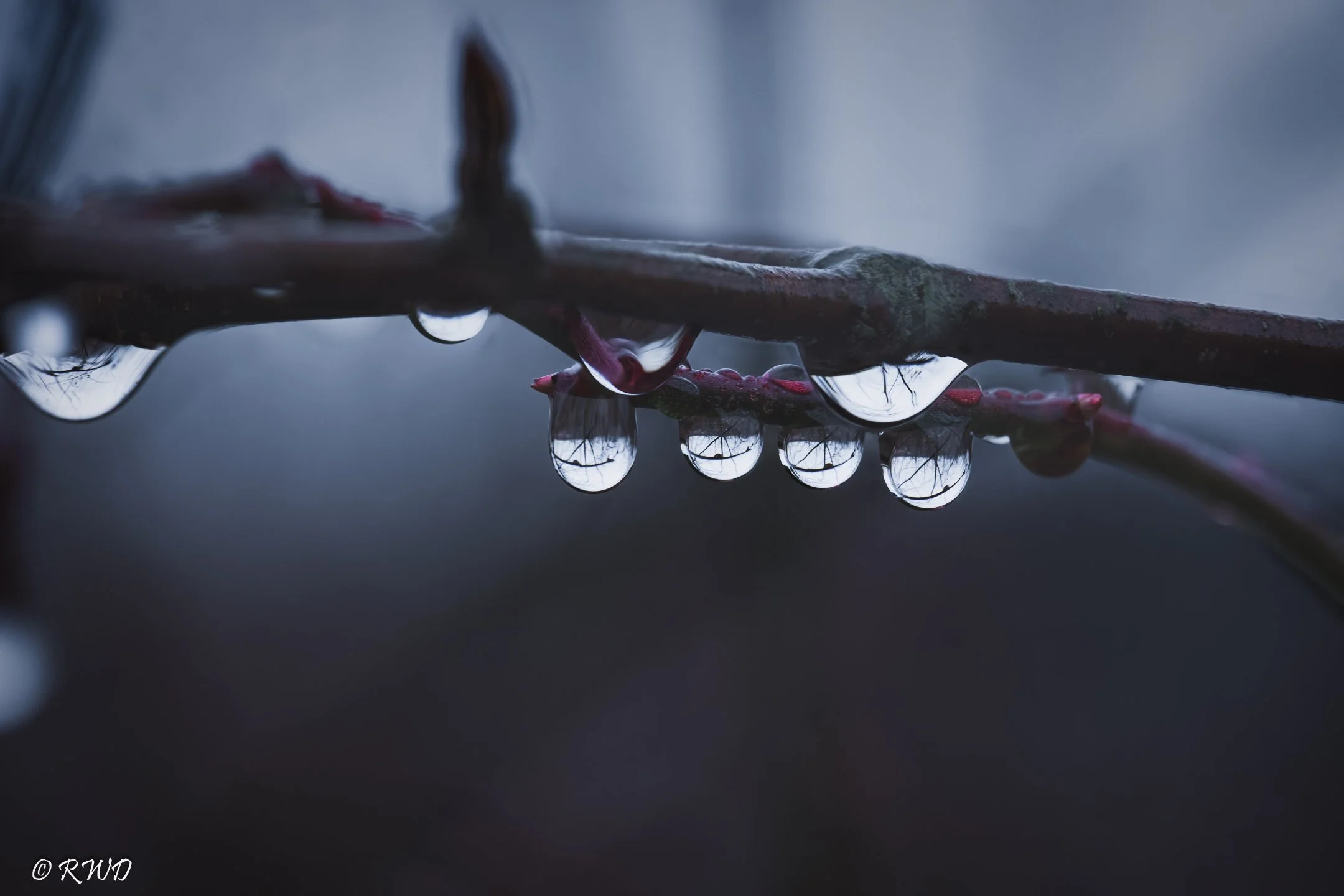 022323_Droplets.jpg