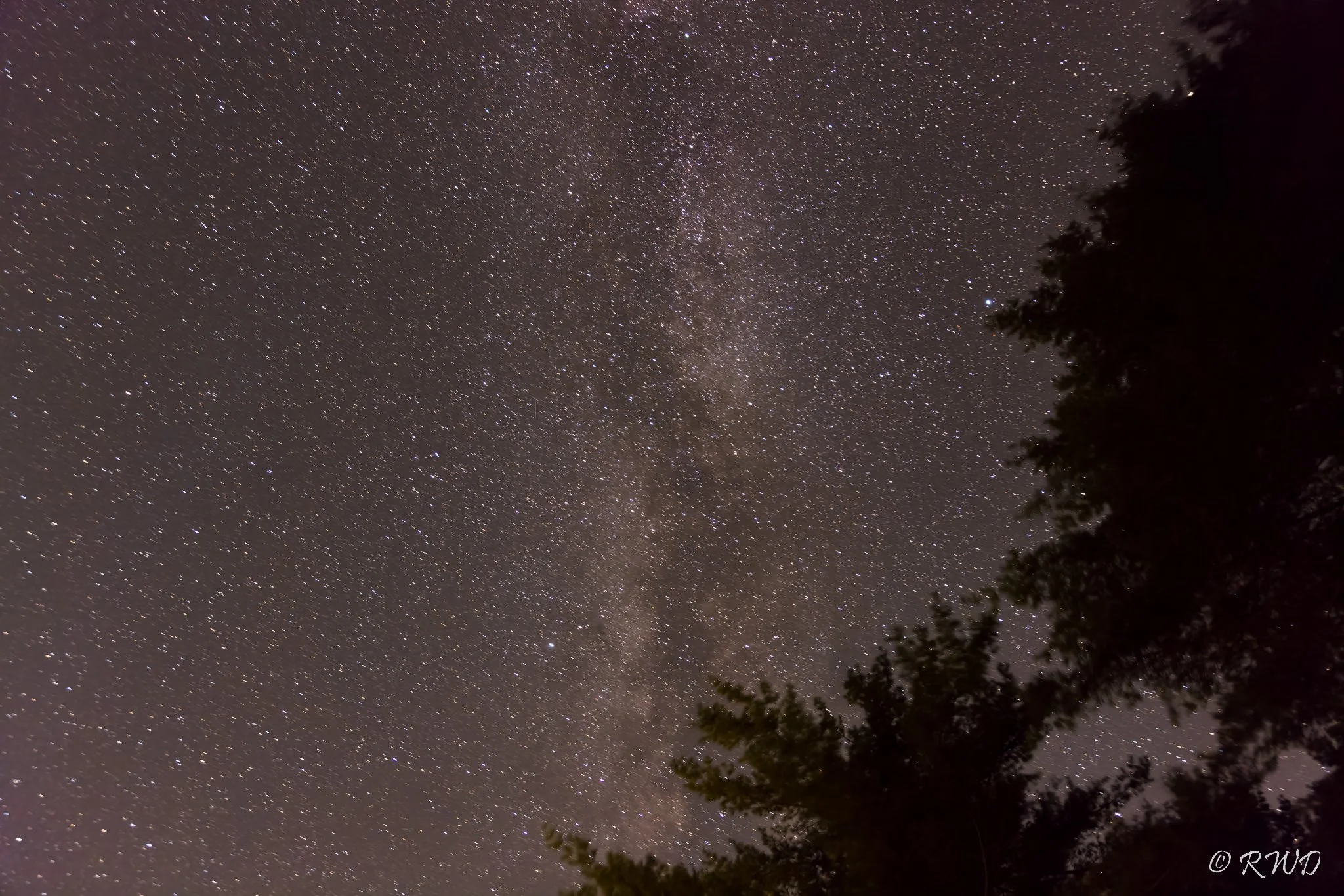 RWD-NightSky-0649.jpg