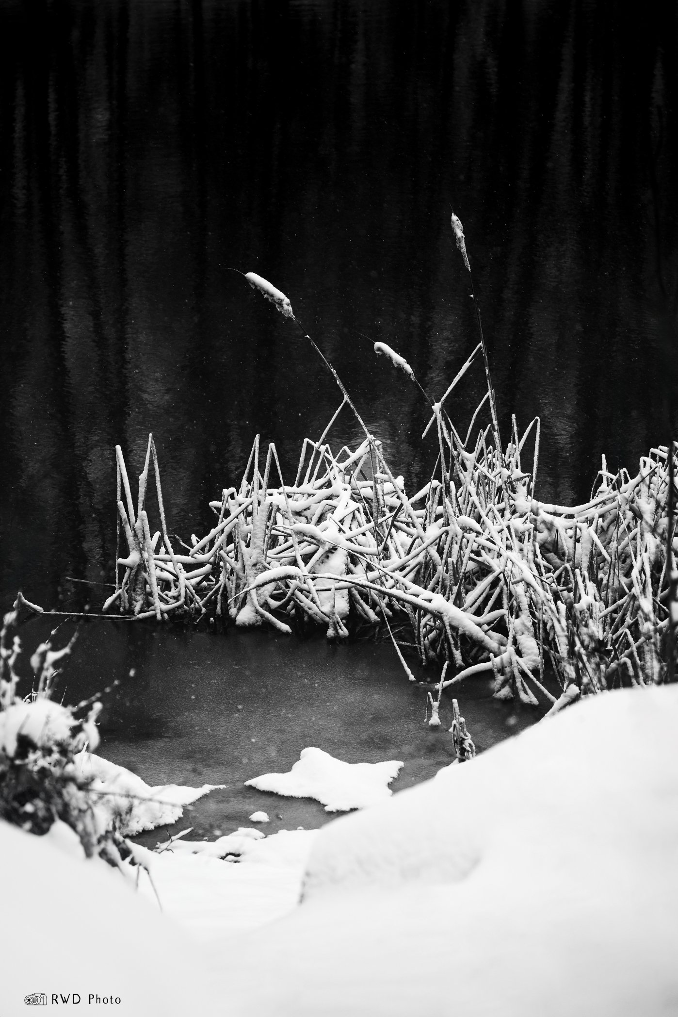010724_BW_Snow-1.jpg