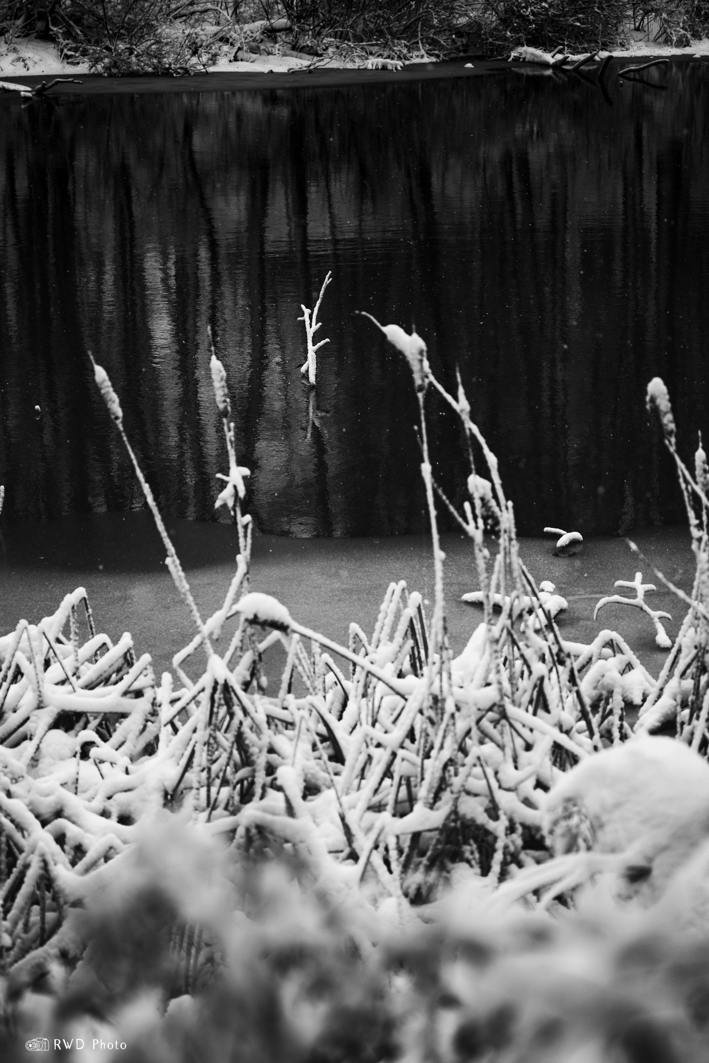 010724_BW_Snow-1-2.jpg