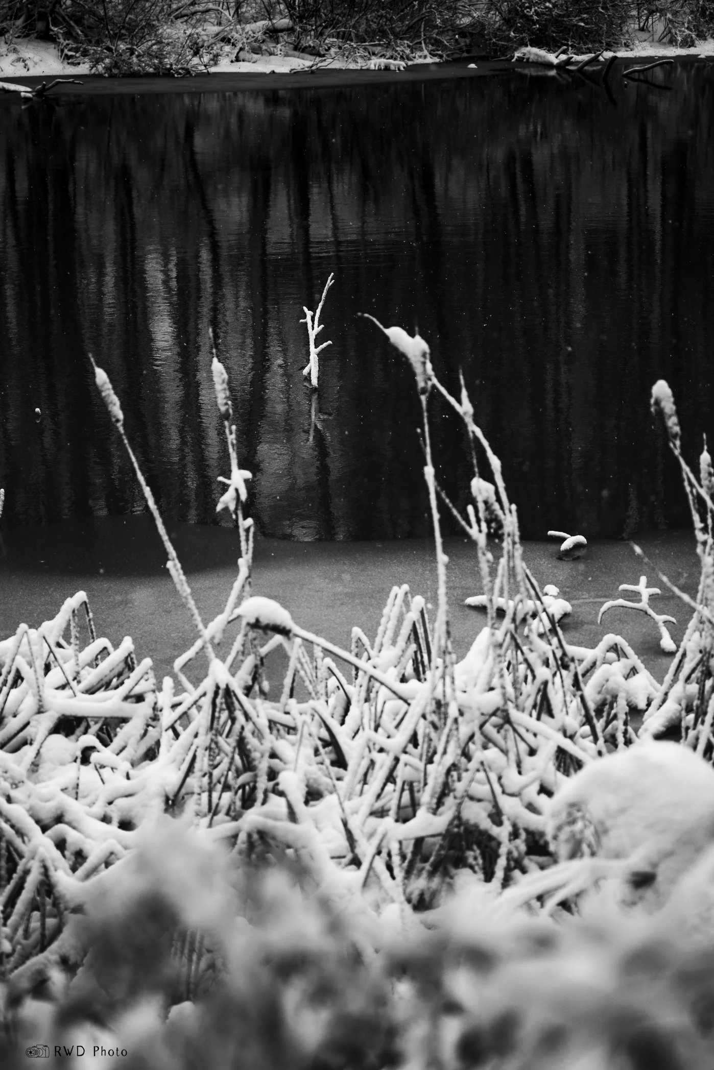 010724_BW_Snow-2.jpg