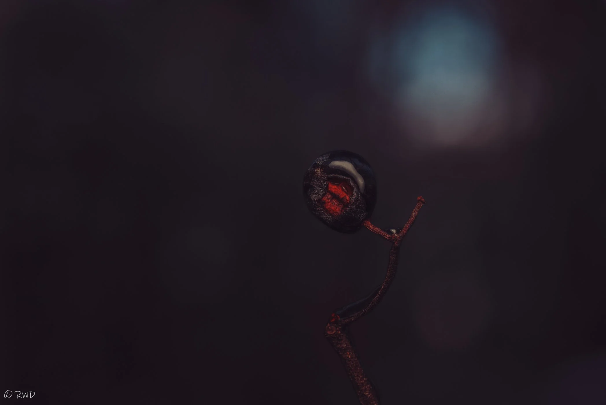 011724_Berry-1.jpg