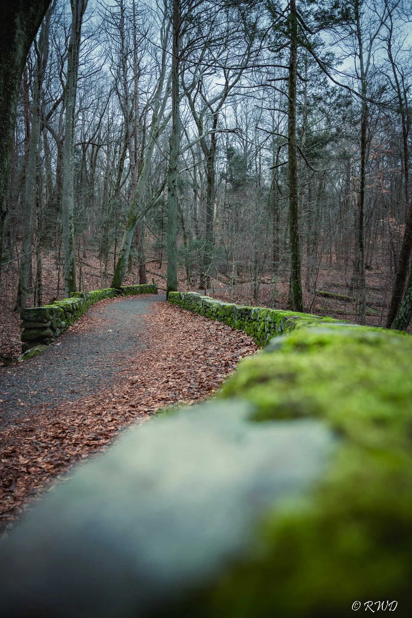 012123_StoneWalls-7.jpg