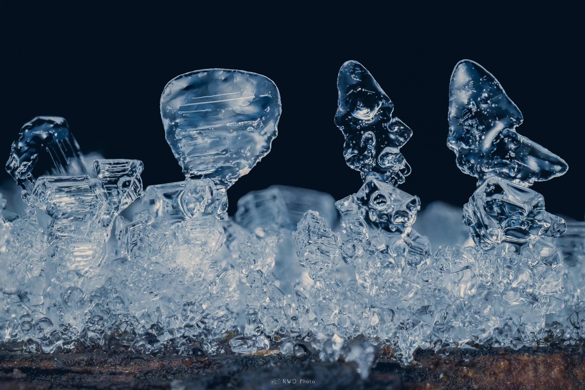 120324_Icicles.jpg