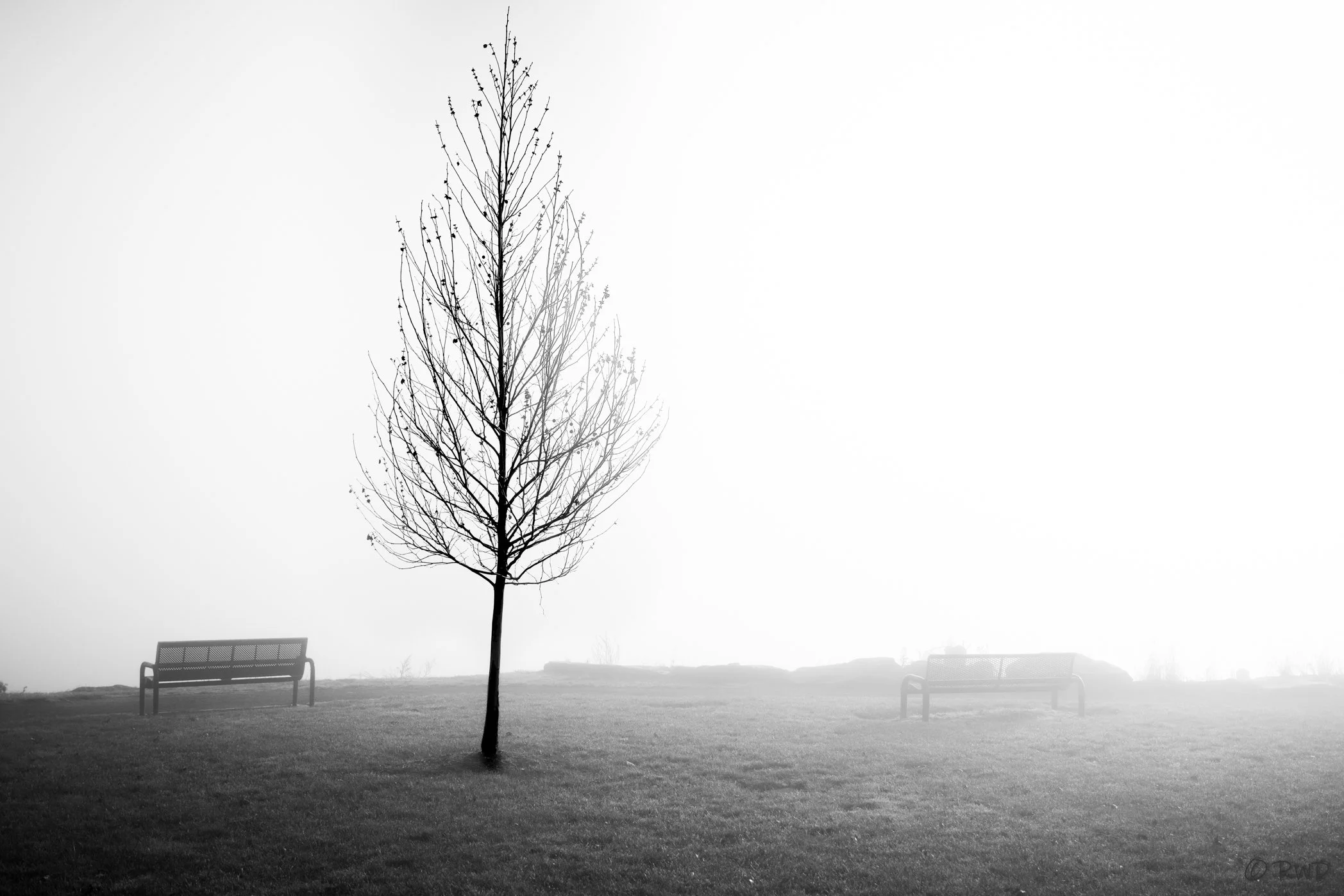 120423_FineArt-3.jpg