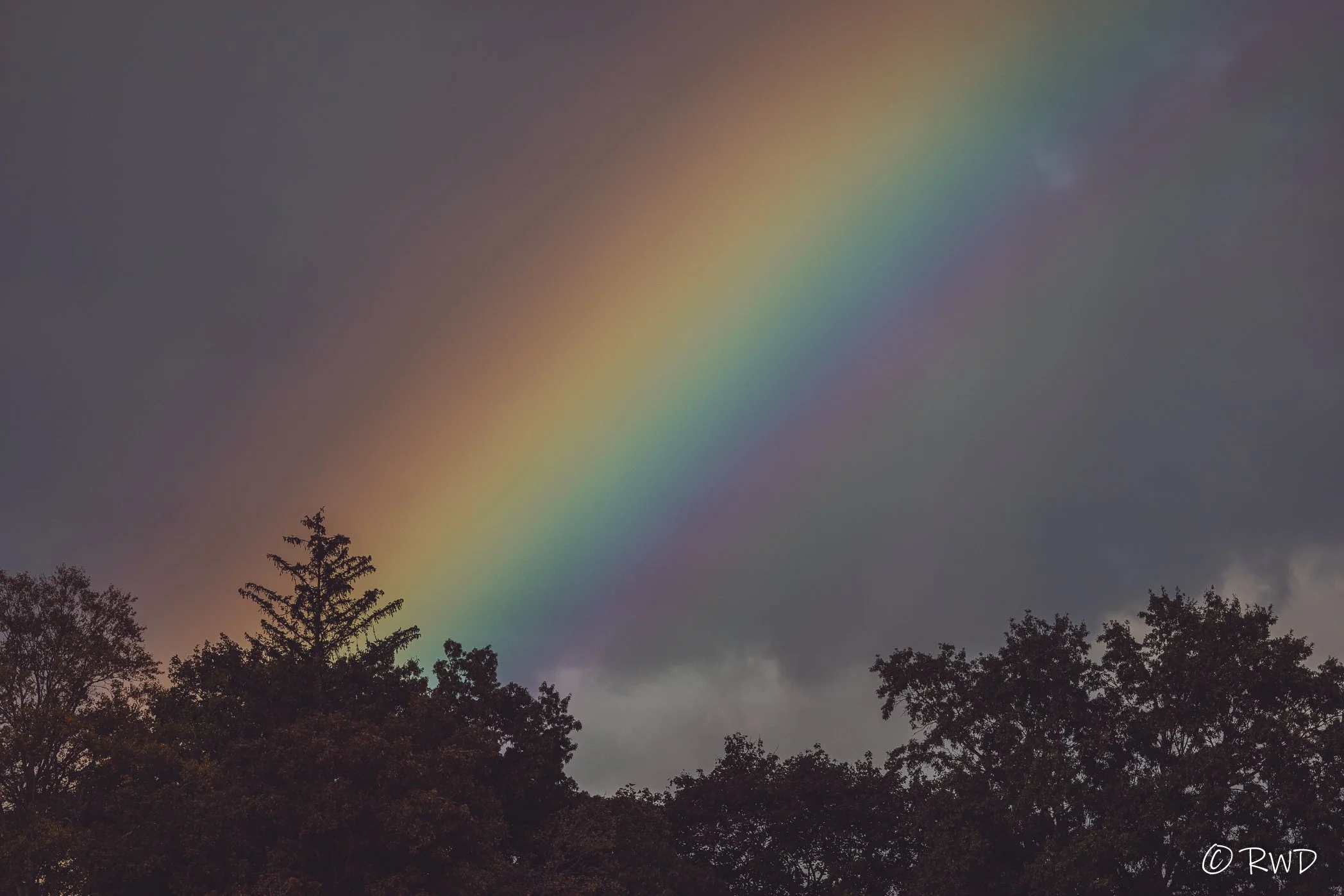 101623_Rainbow.jpg