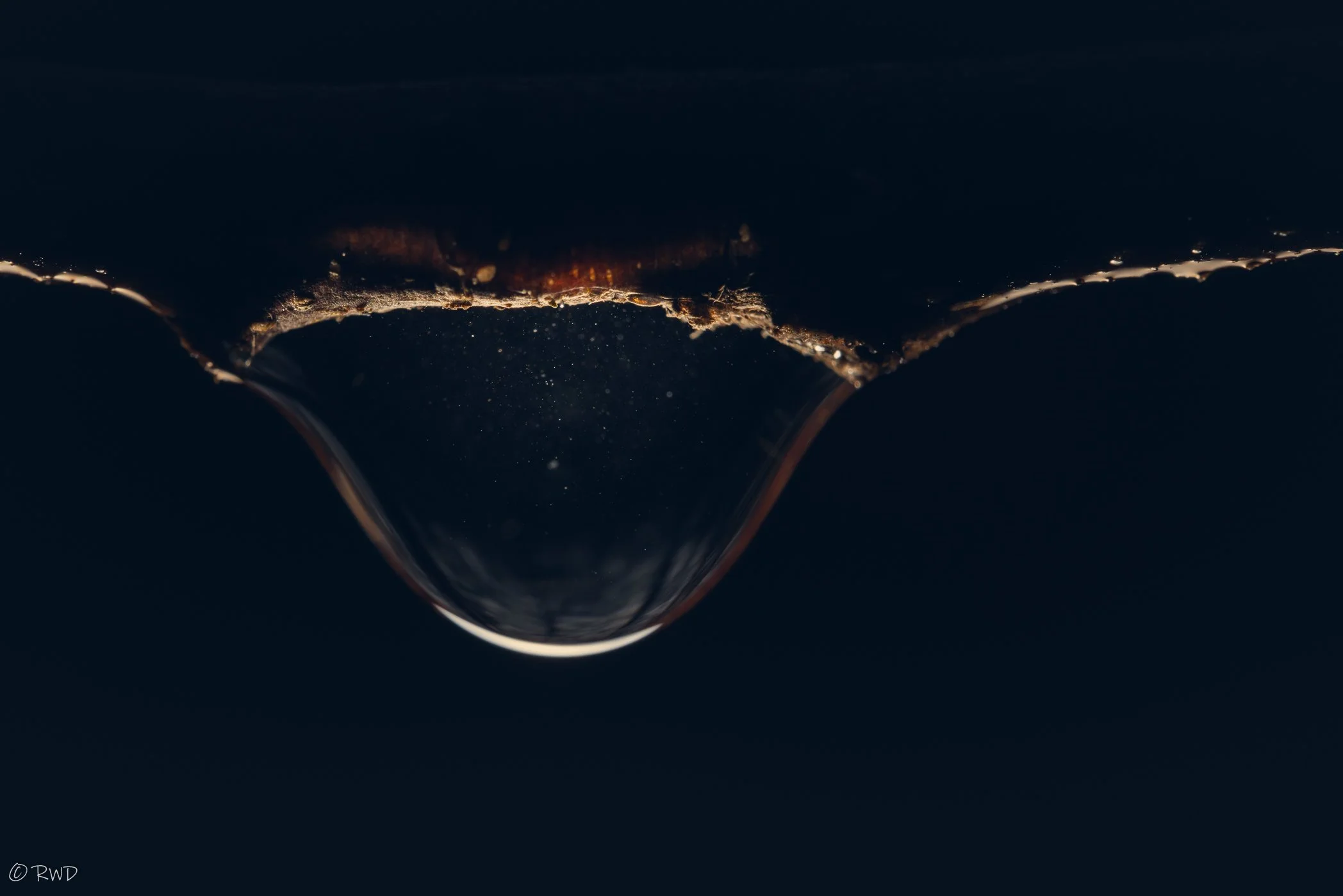 012824_Droplets-3.jpg