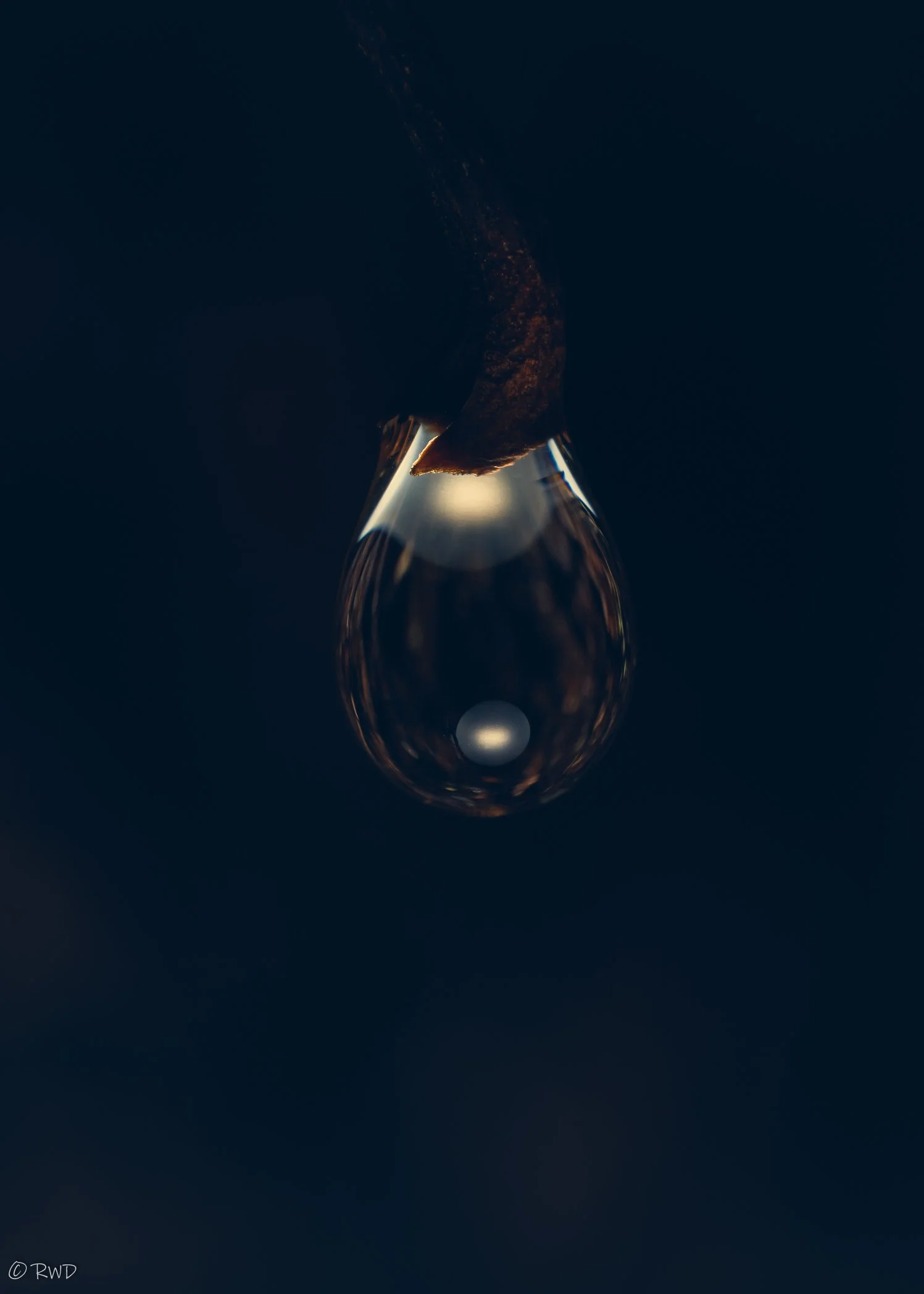 012824_Droplets-2.jpg