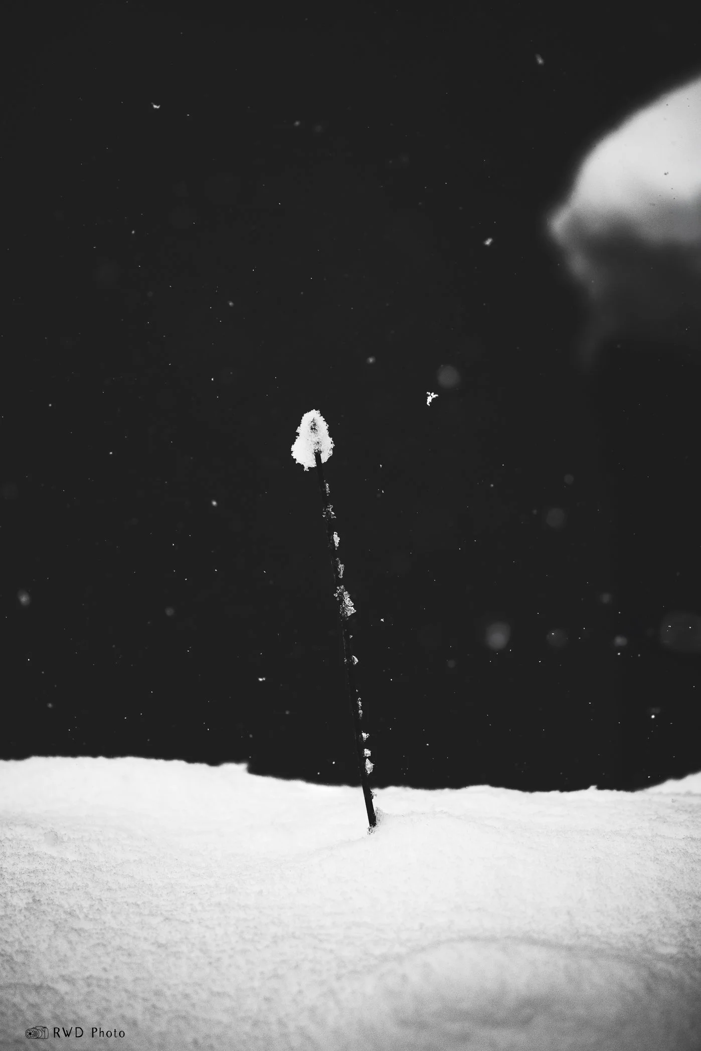 021324_BW_Snow-1.jpg